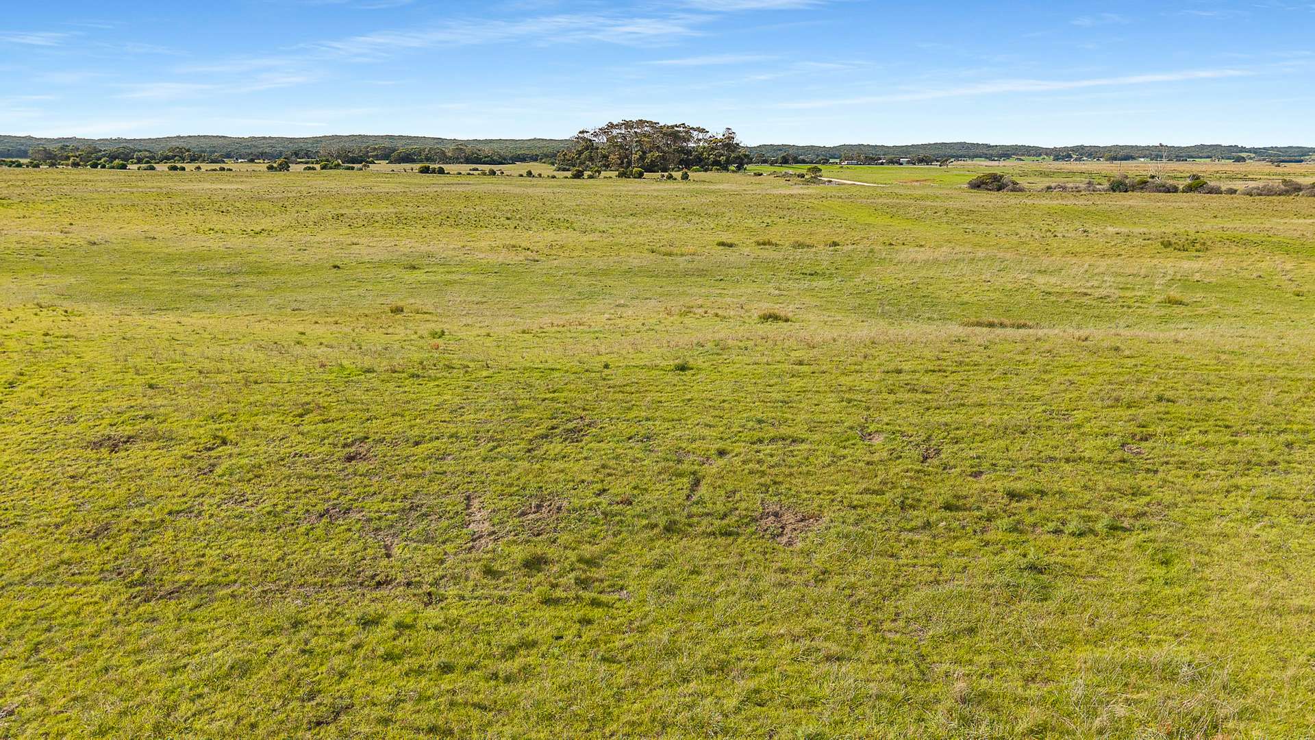 Boomaroo Park Road, Robe For Sale by Farmbuy.com - image 6
