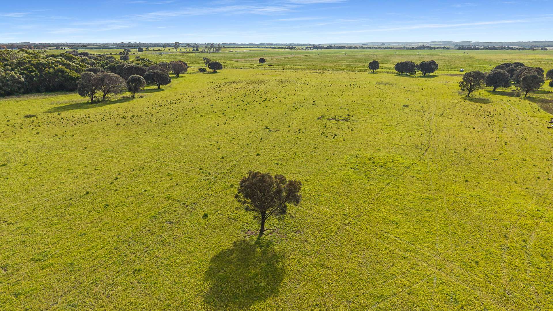 Boomaroo Park Road, Robe For Sale by Farmbuy.com - image 9