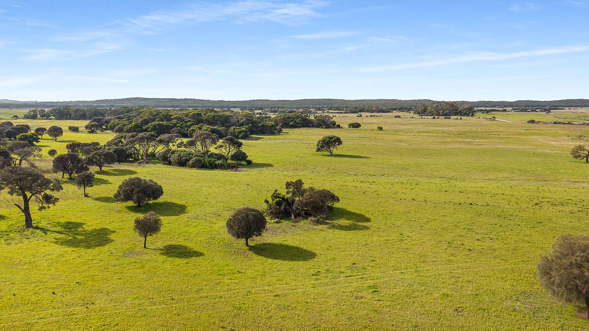 Boomaroo Park Road, Robe For Sale by Farmbuy.com - image 5