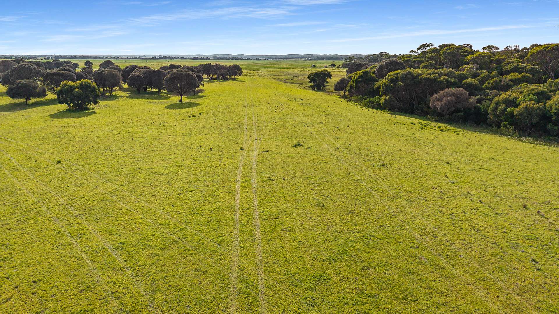 Boomaroo Park Road, Robe For Sale by Farmbuy.com - image 8