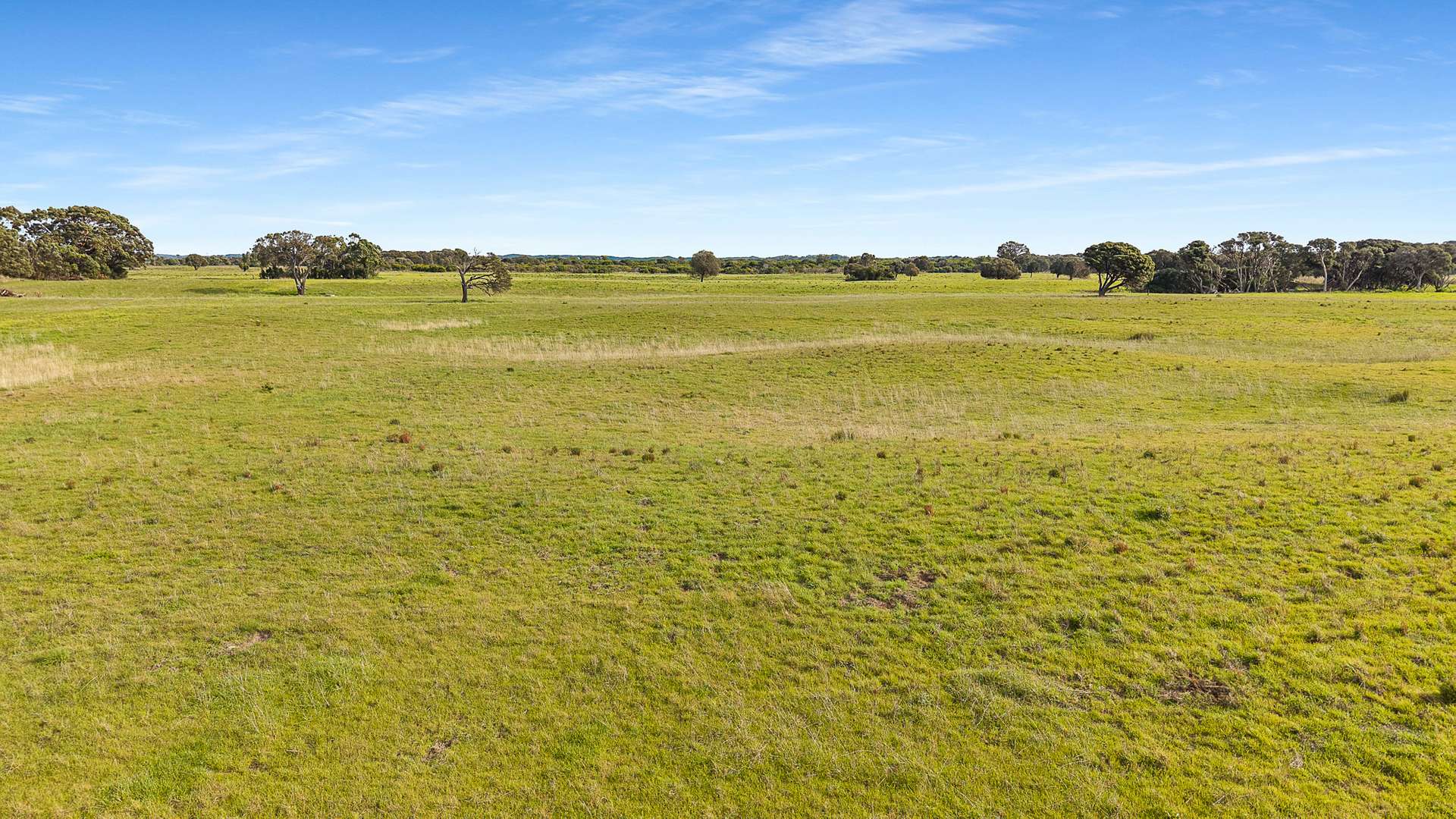 Boomaroo Park Road, Robe For Sale by Farmbuy.com - image 3