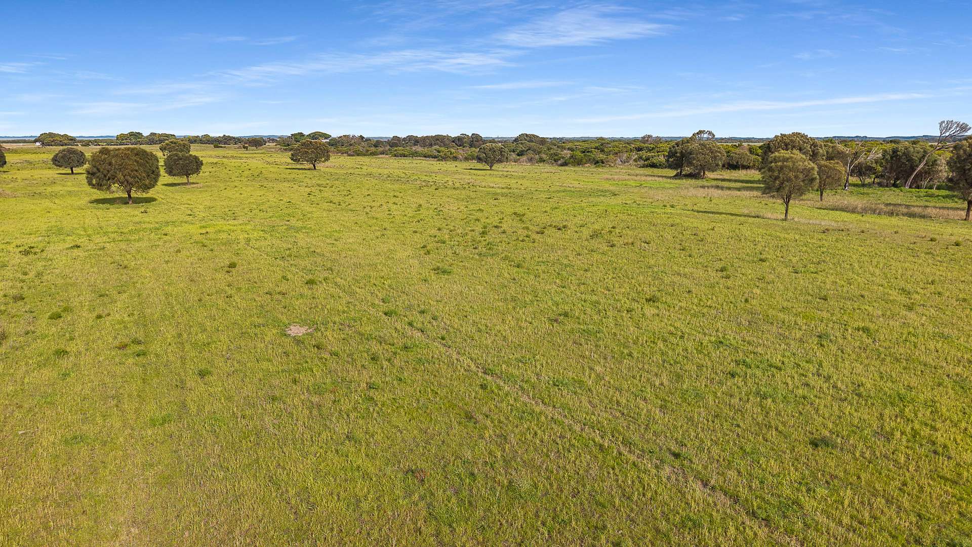 Boomaroo Park Road, Robe For Sale by Farmbuy.com - image 11