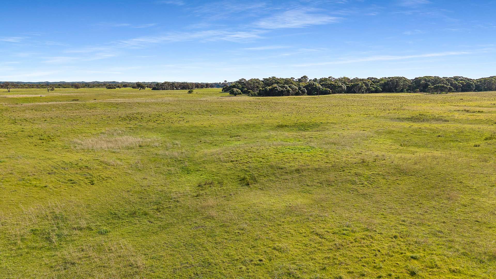 Boomaroo Park Road, Robe For Sale by Farmbuy.com - image 4