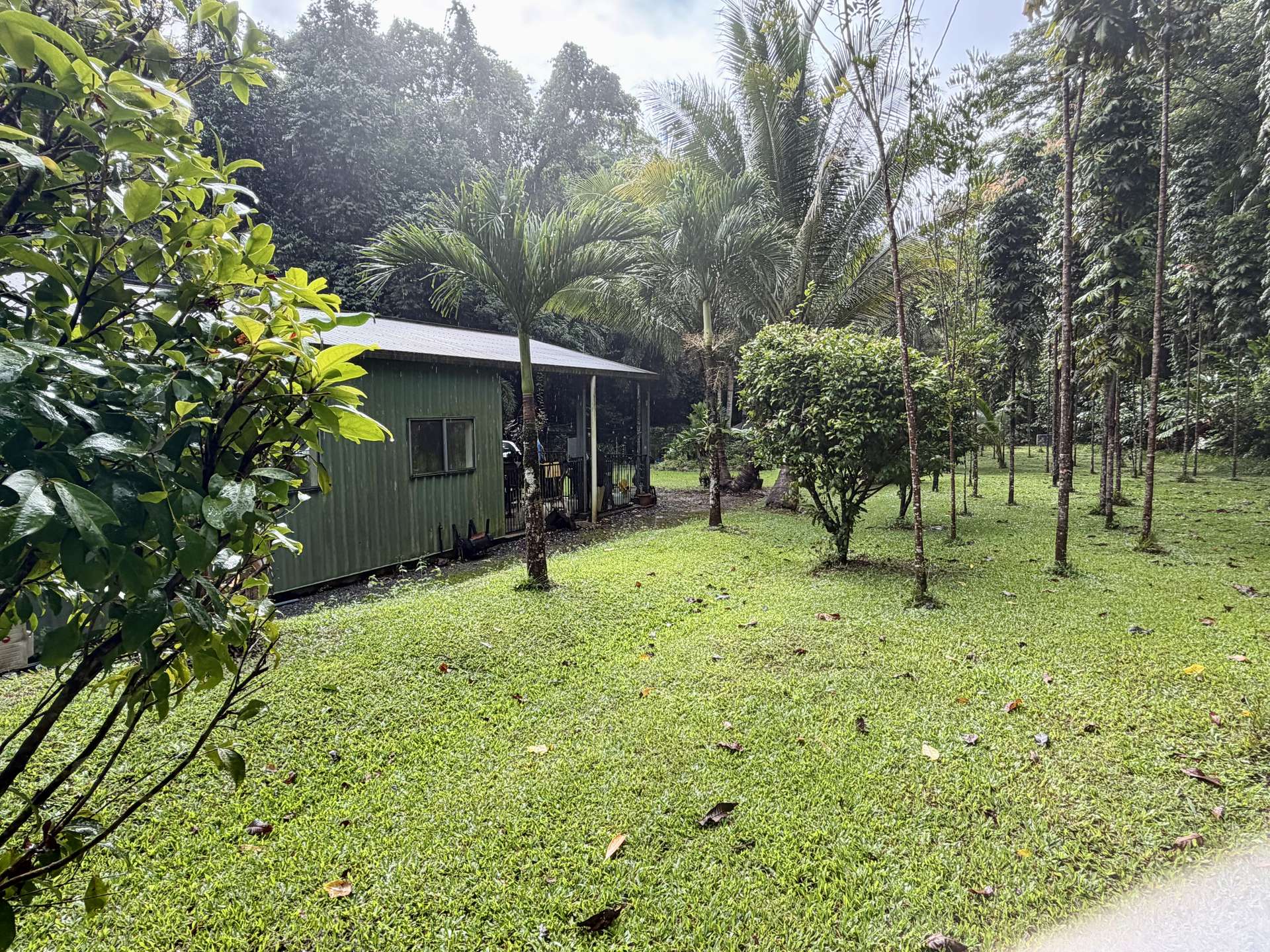 116 Hickory Road, Cow Bay, Daintree For Sale by Farmbuy.com - image 1