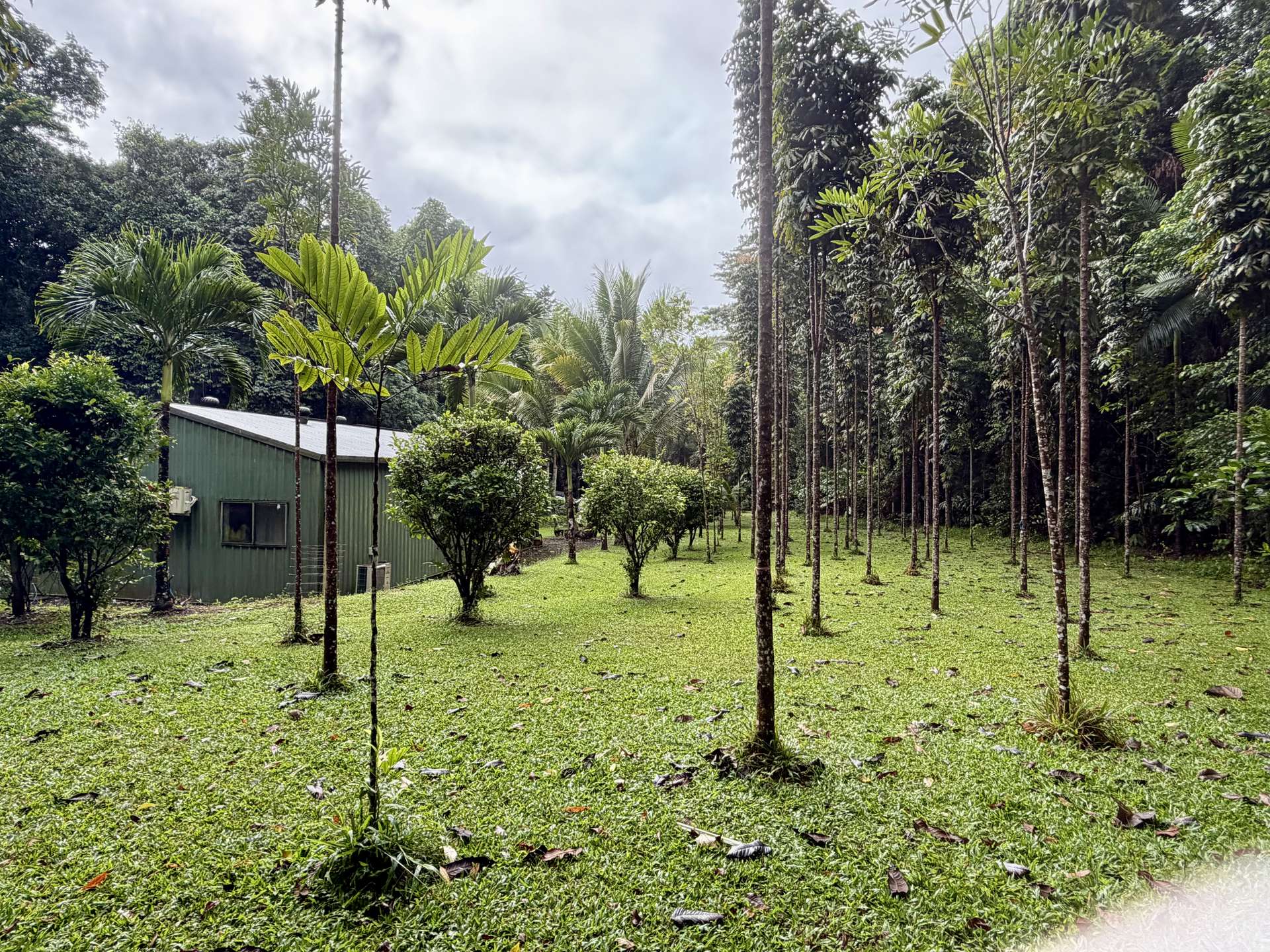 116 Hickory Road, Cow Bay, Daintree For Sale by Farmbuy.com - image 21