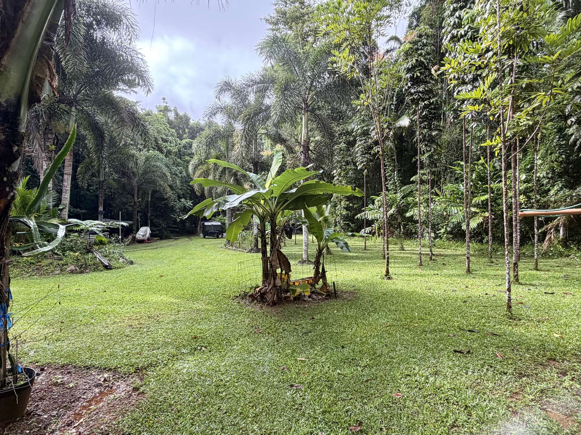 116 Hickory Road, Cow Bay, Daintree For Sale by Farmbuy.com - image 22