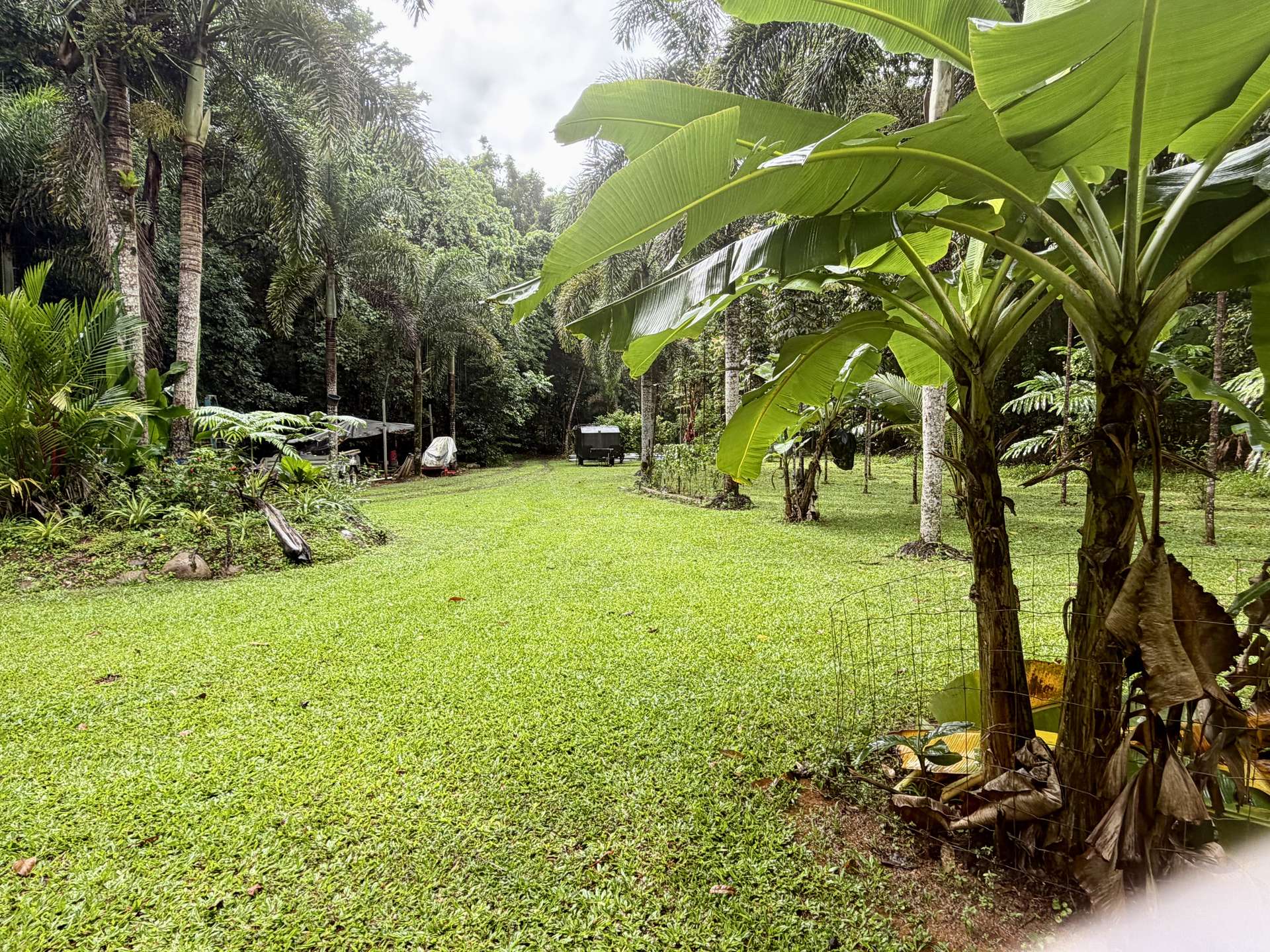 116 Hickory Road, Cow Bay, Daintree For Sale by Farmbuy.com - image 20