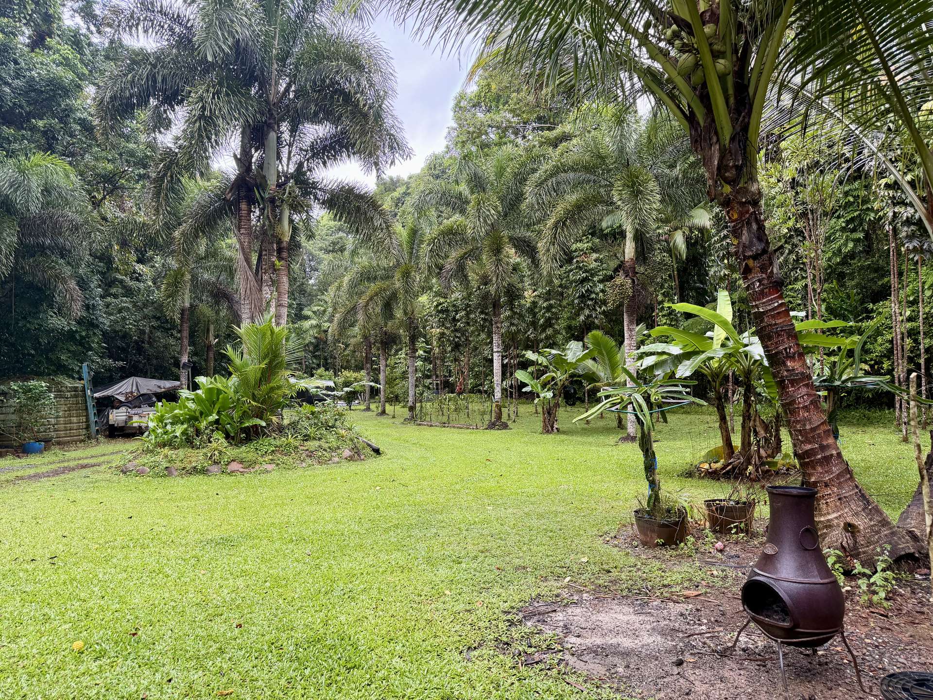 116 Hickory Road, Cow Bay, Daintree For Sale by Farmbuy.com - image 11