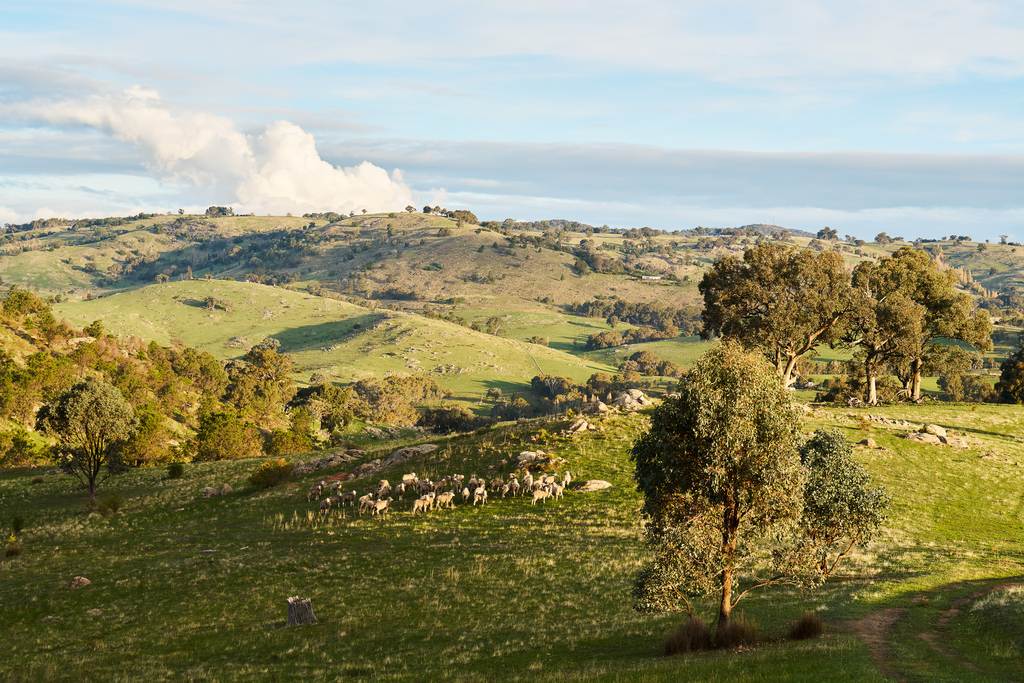 254 FERNHILLS ROAD, Sheans Creek VIC 3666