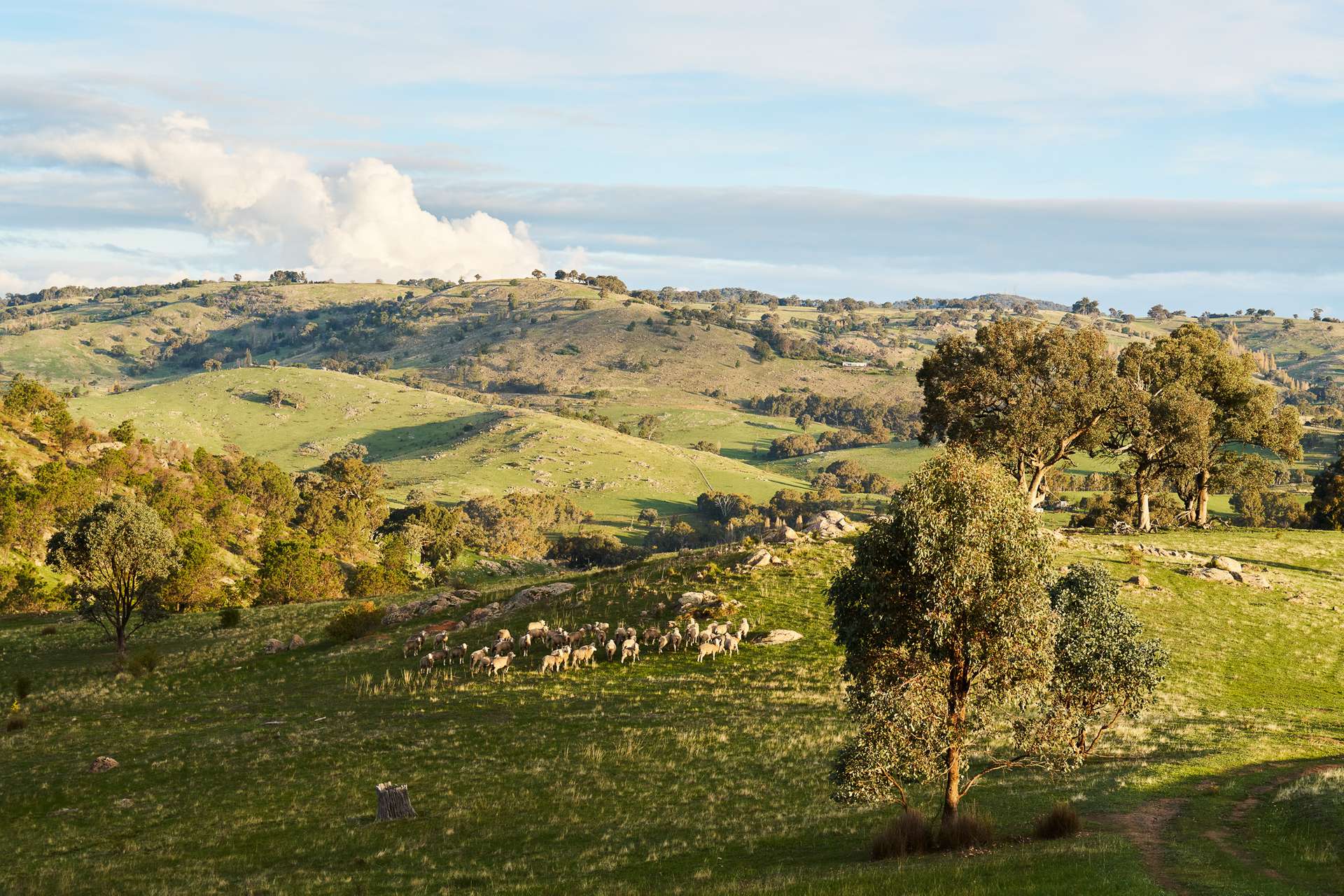 254 FERNHILLS ROAD, Sheans Creek For Sale by Farmbuy.com - image 15