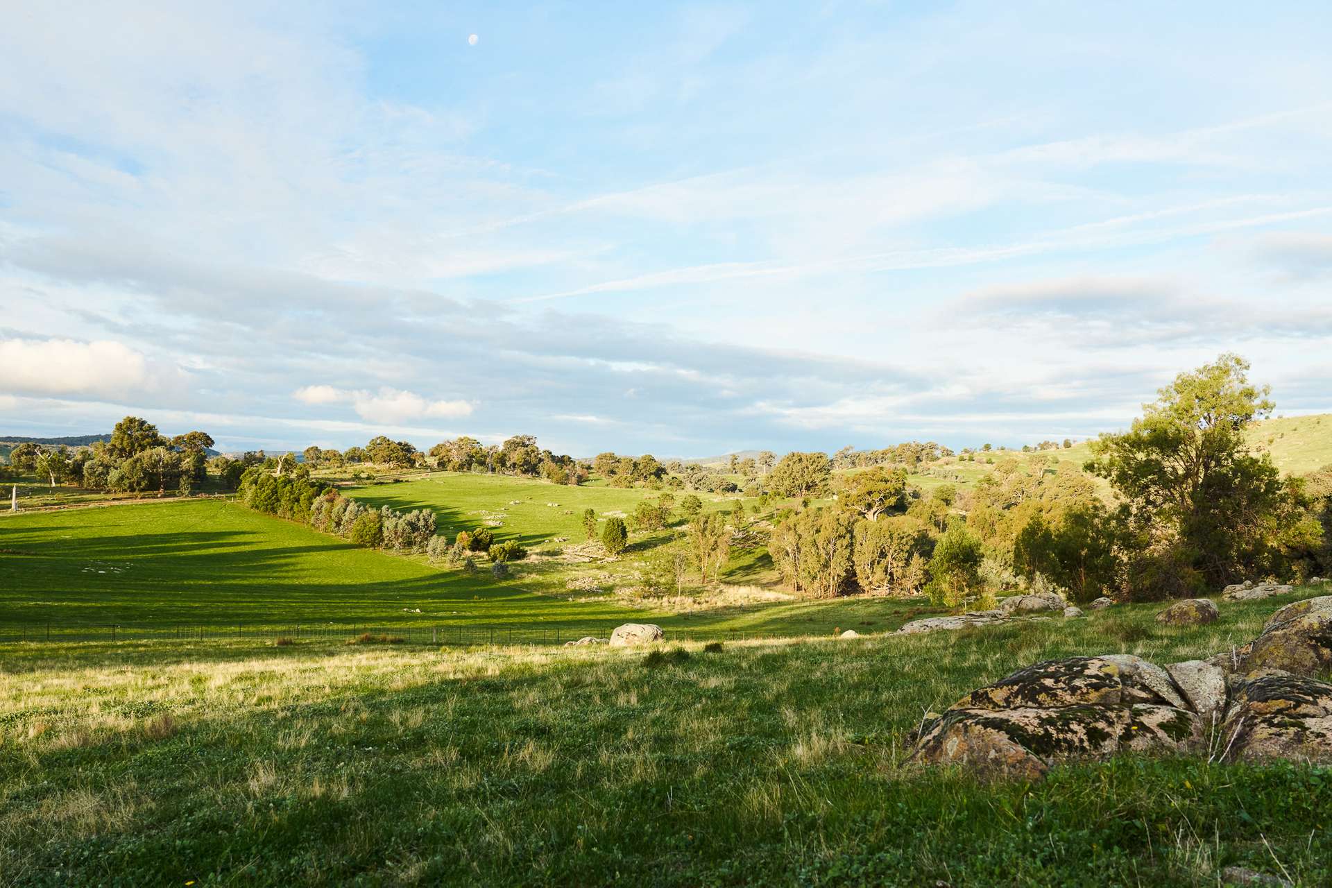 254 FERNHILLS ROAD, Sheans Creek For Sale by Farmbuy.com - image 17