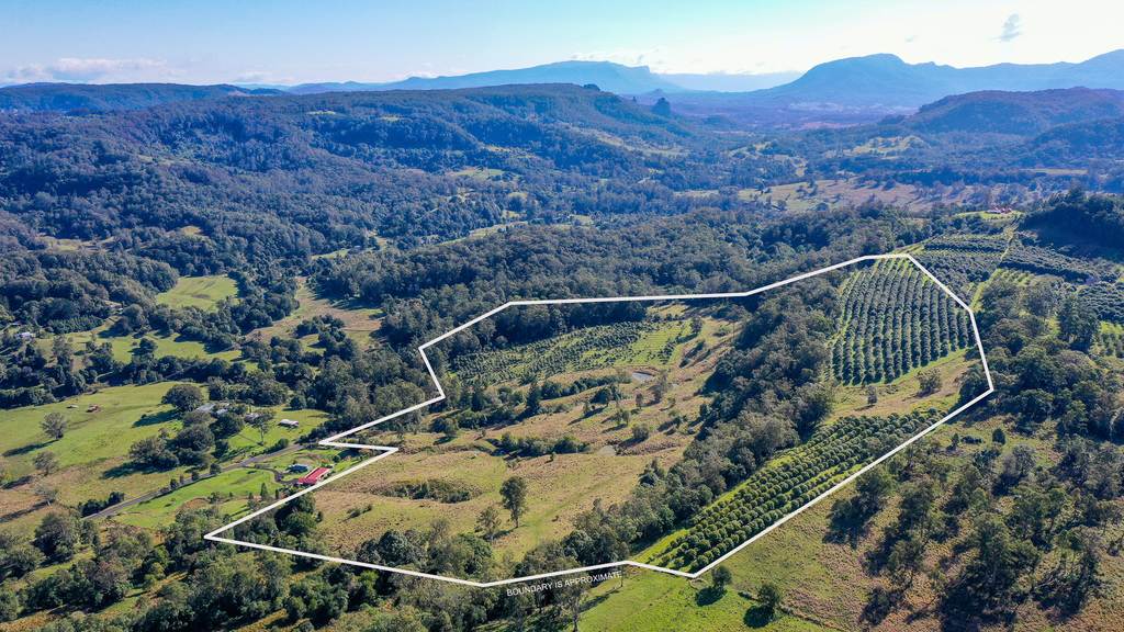 1740 Nimbin Road, Koonorigan NSW 2480