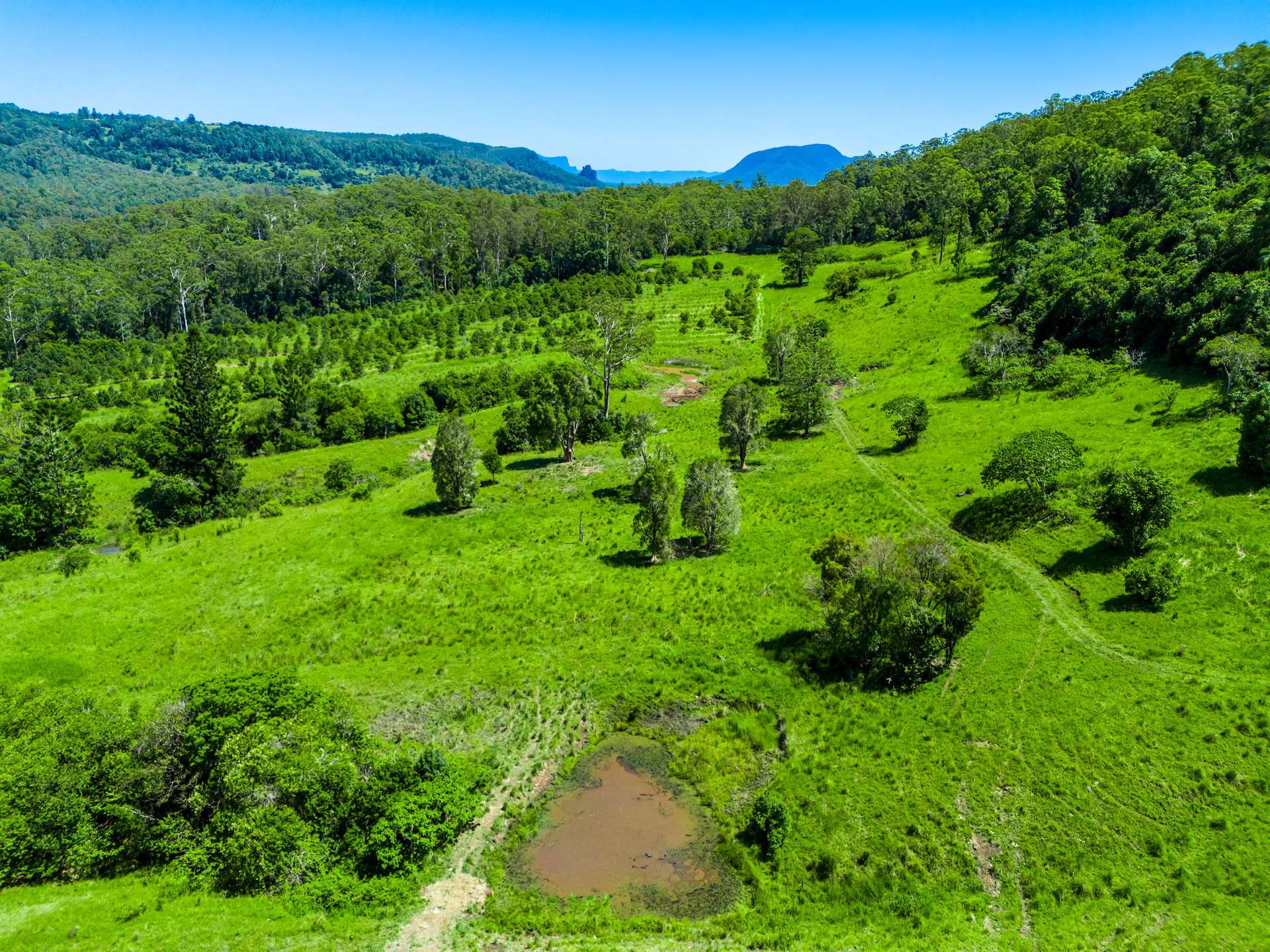 1740 Nimbin Road, Koonorigan For Sale by Farmbuy.com - image 9