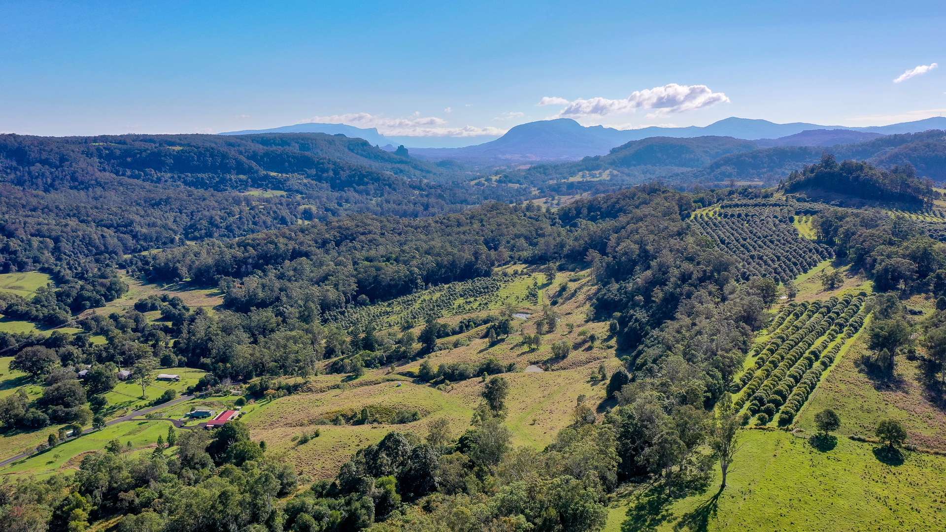 1740 Nimbin Road, Koonorigan For Sale by Farmbuy.com - image 2