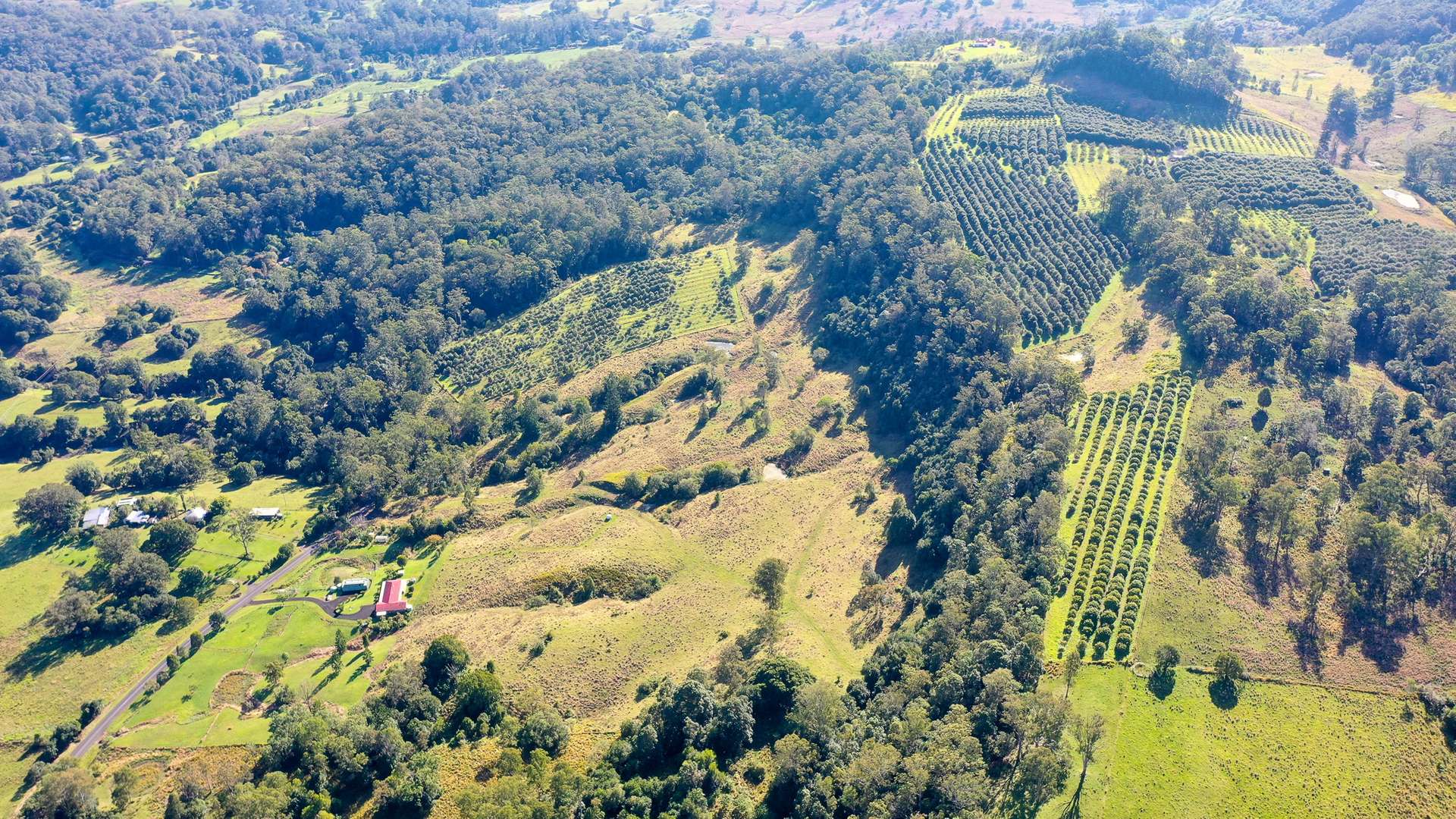1740 Nimbin Road, Koonorigan For Sale by Farmbuy.com - image 4