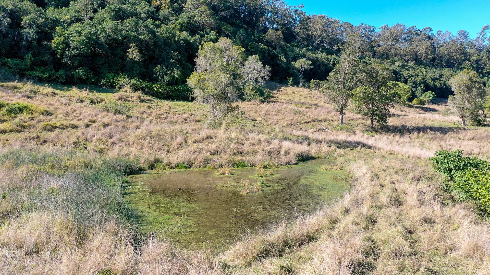 1740 Nimbin Road, Koonorigan For Sale by Farmbuy.com - image 19