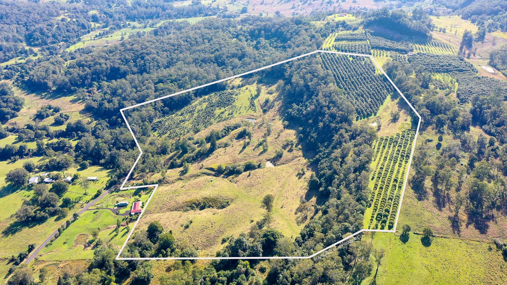 1740 Nimbin Road, Koonorigan For Sale by Farmbuy.com - image 3