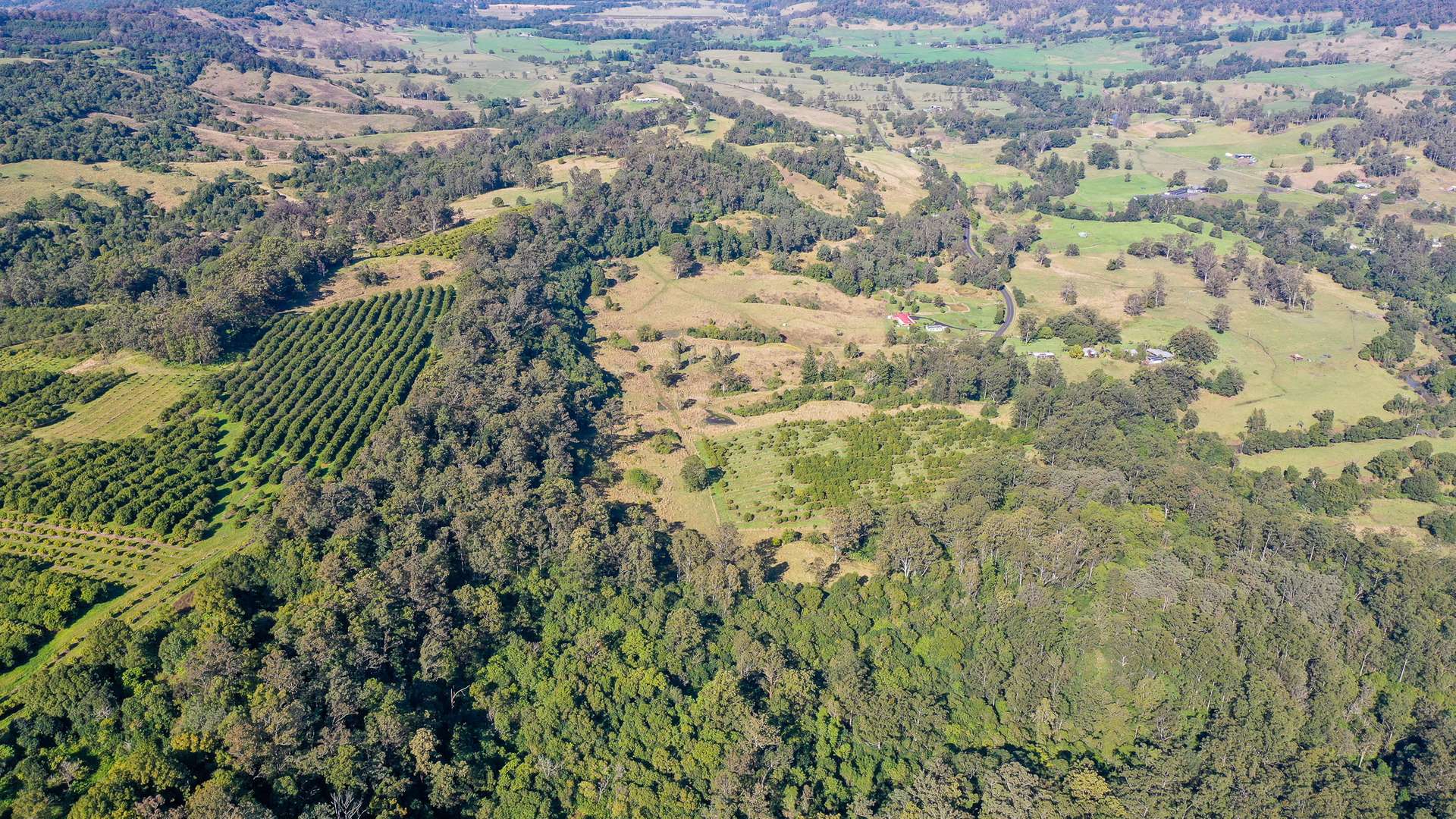 1740 Nimbin Road, Koonorigan For Sale by Farmbuy.com - image 18