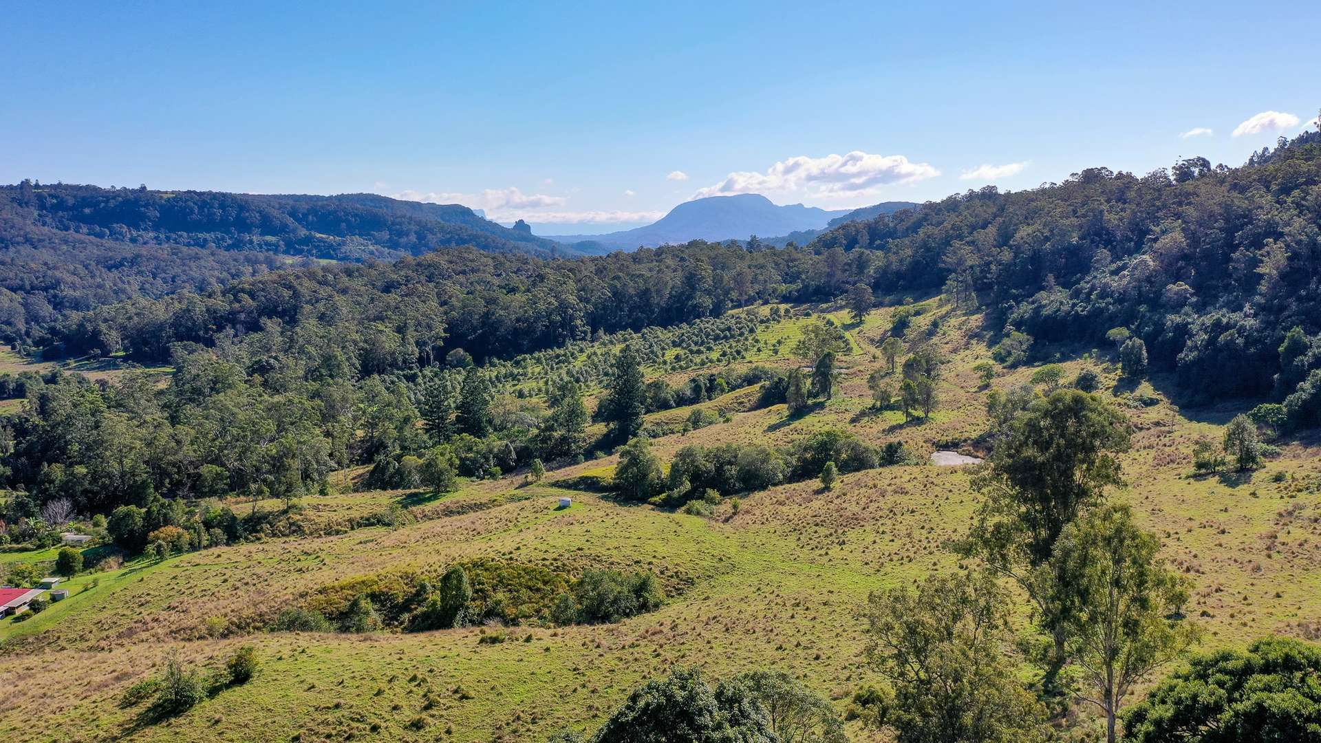 1740 Nimbin Road, Koonorigan For Sale by Farmbuy.com - image 21