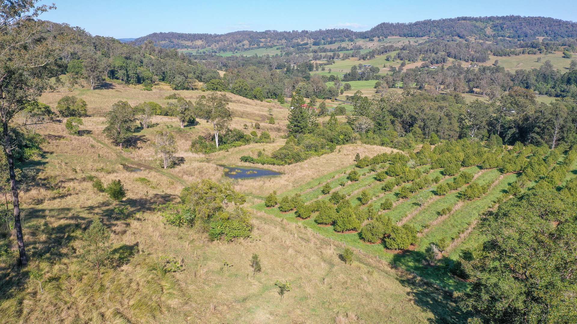 1740 Nimbin Road, Koonorigan For Sale by Farmbuy.com - image 20