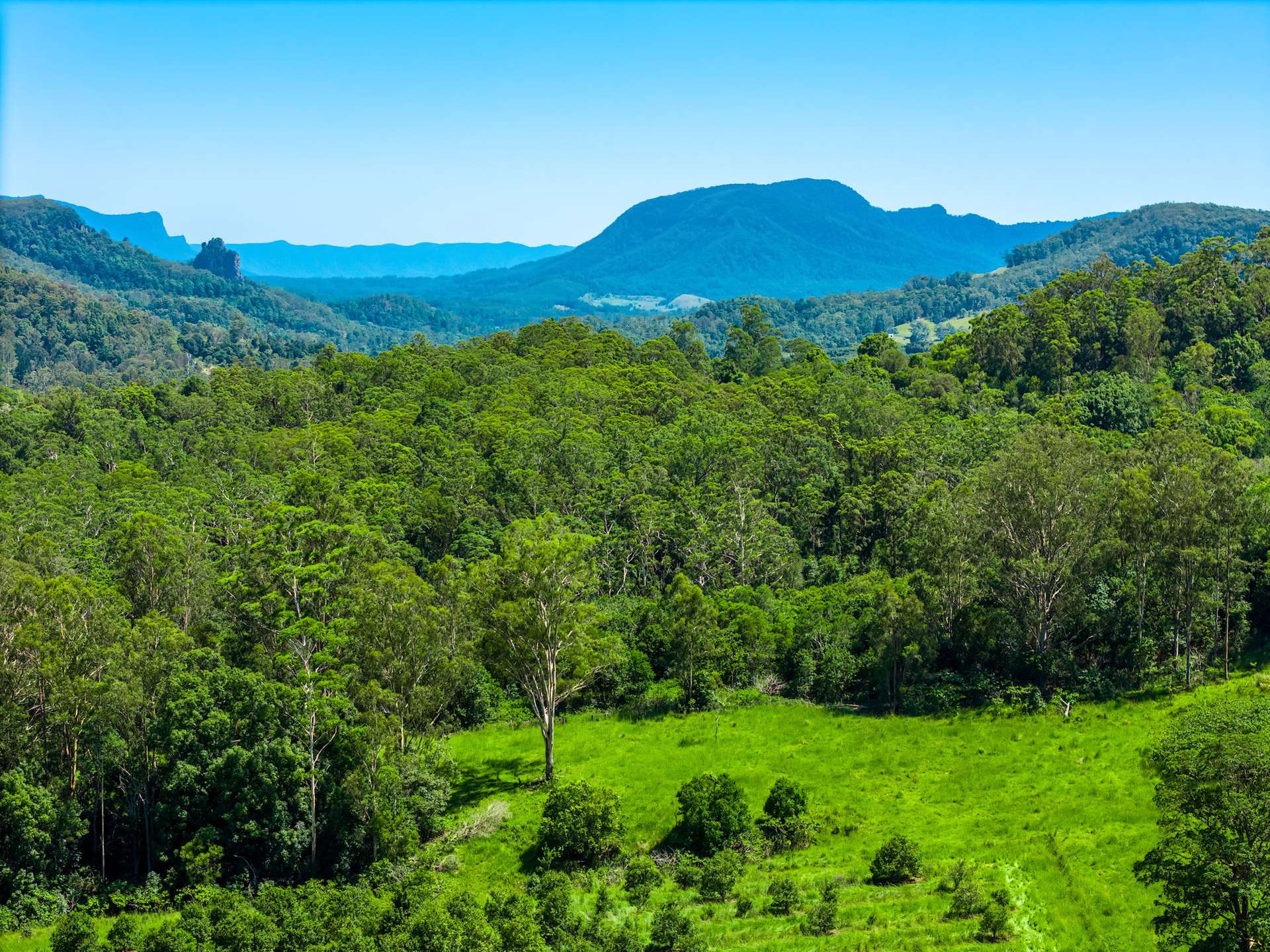 1740 Nimbin Road, Koonorigan For Sale by Farmbuy.com - image 8