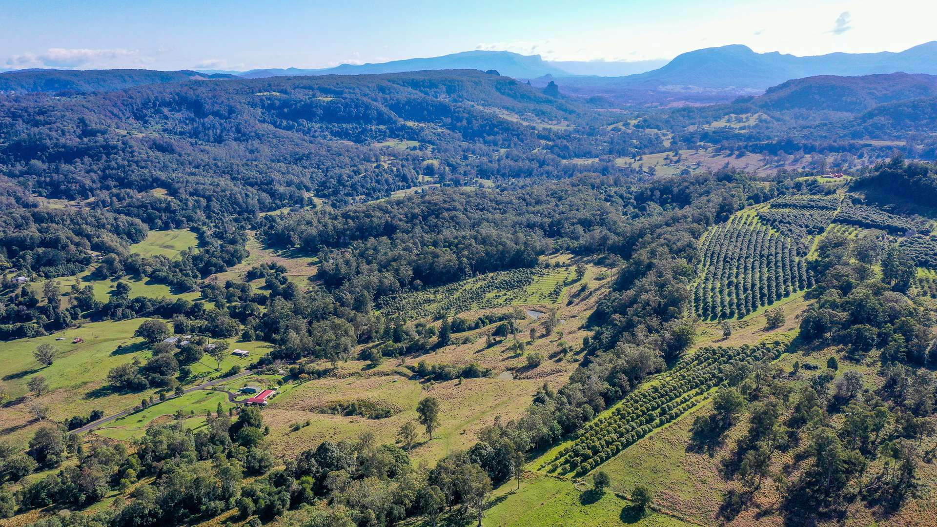 1740 Nimbin Road, Koonorigan For Sale by Farmbuy.com - image 7