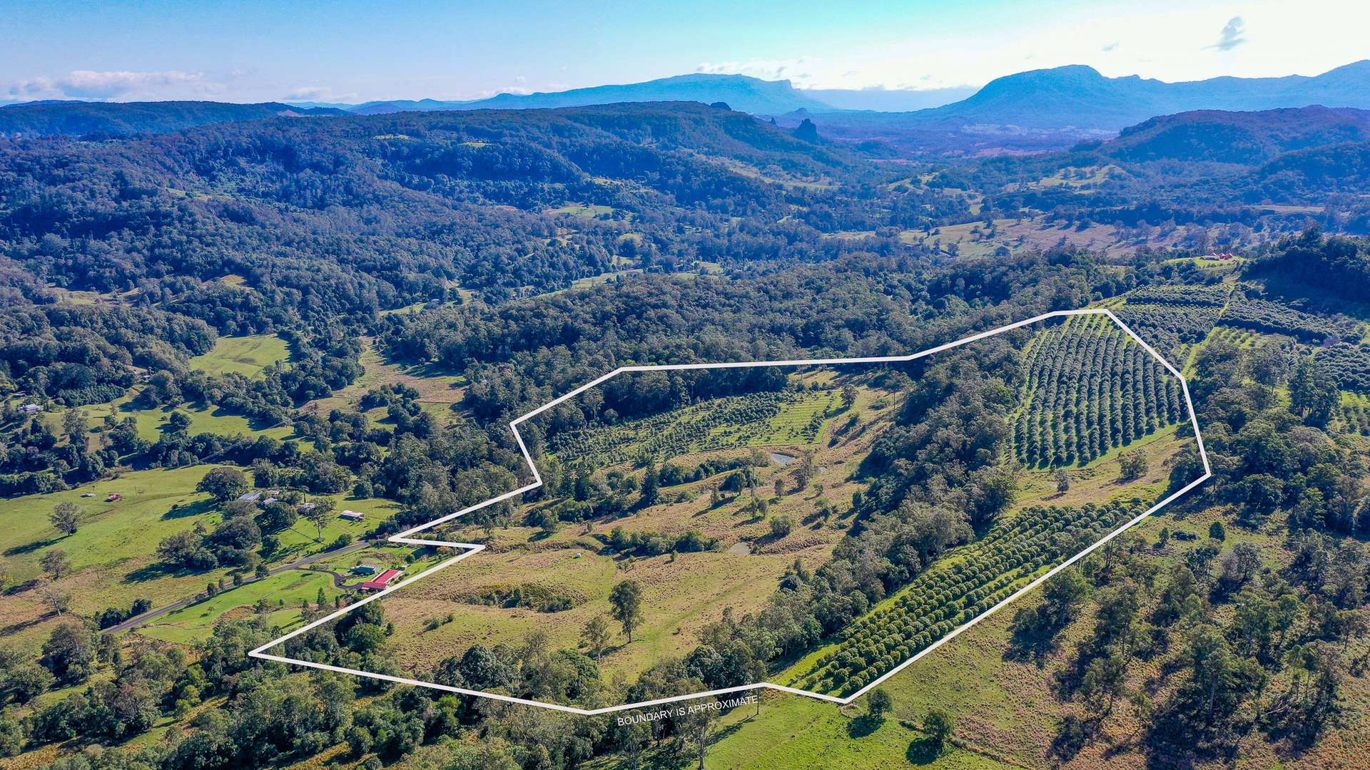 1740 Nimbin Road, Koonorigan For Sale by Farmbuy.com - image 6
