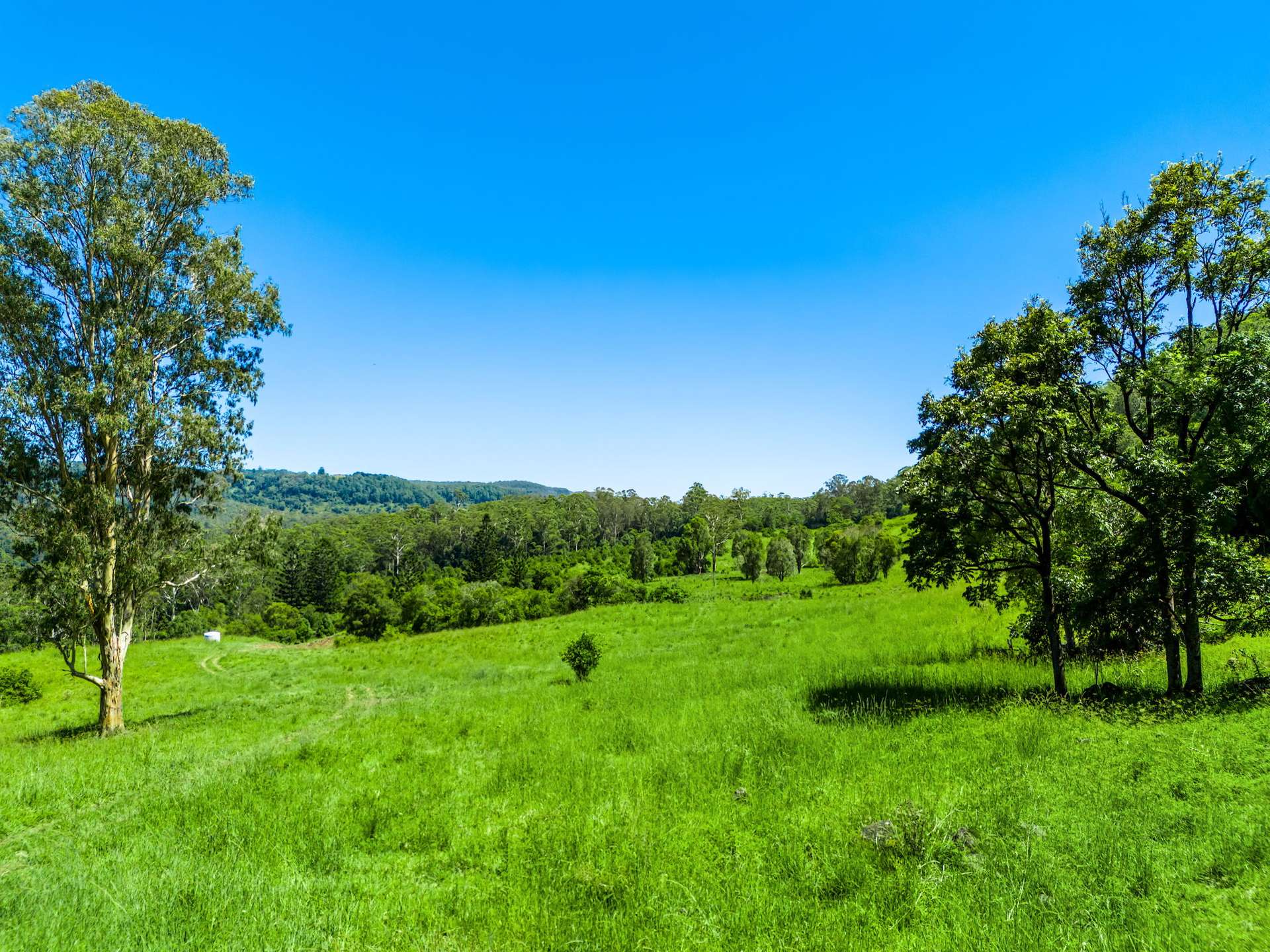 1740 Nimbin Road, Koonorigan For Sale by Farmbuy.com - image 11