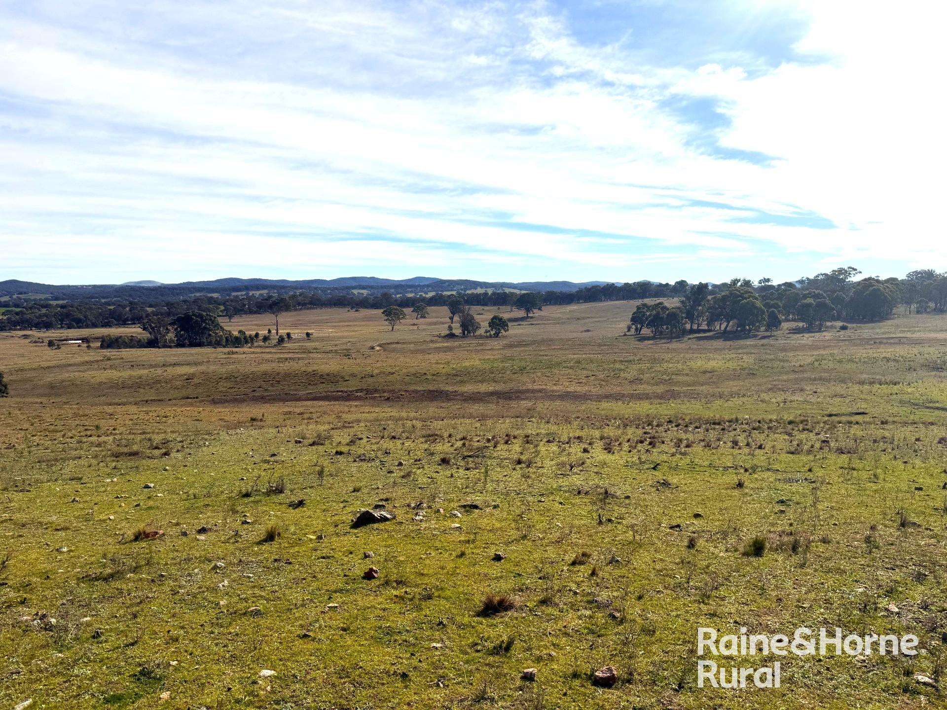 Lot 83 Of 278 Campbells Lane, Goulburn For Sale by Farmbuy.com - image 8