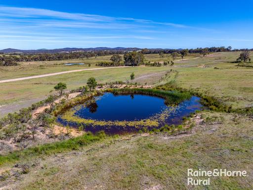 Farm For Sale - NSW - Goulburn - 2580 - Rural Lifestyle Opportunity with Future Potential - 21.57ha (53 Acres)* 