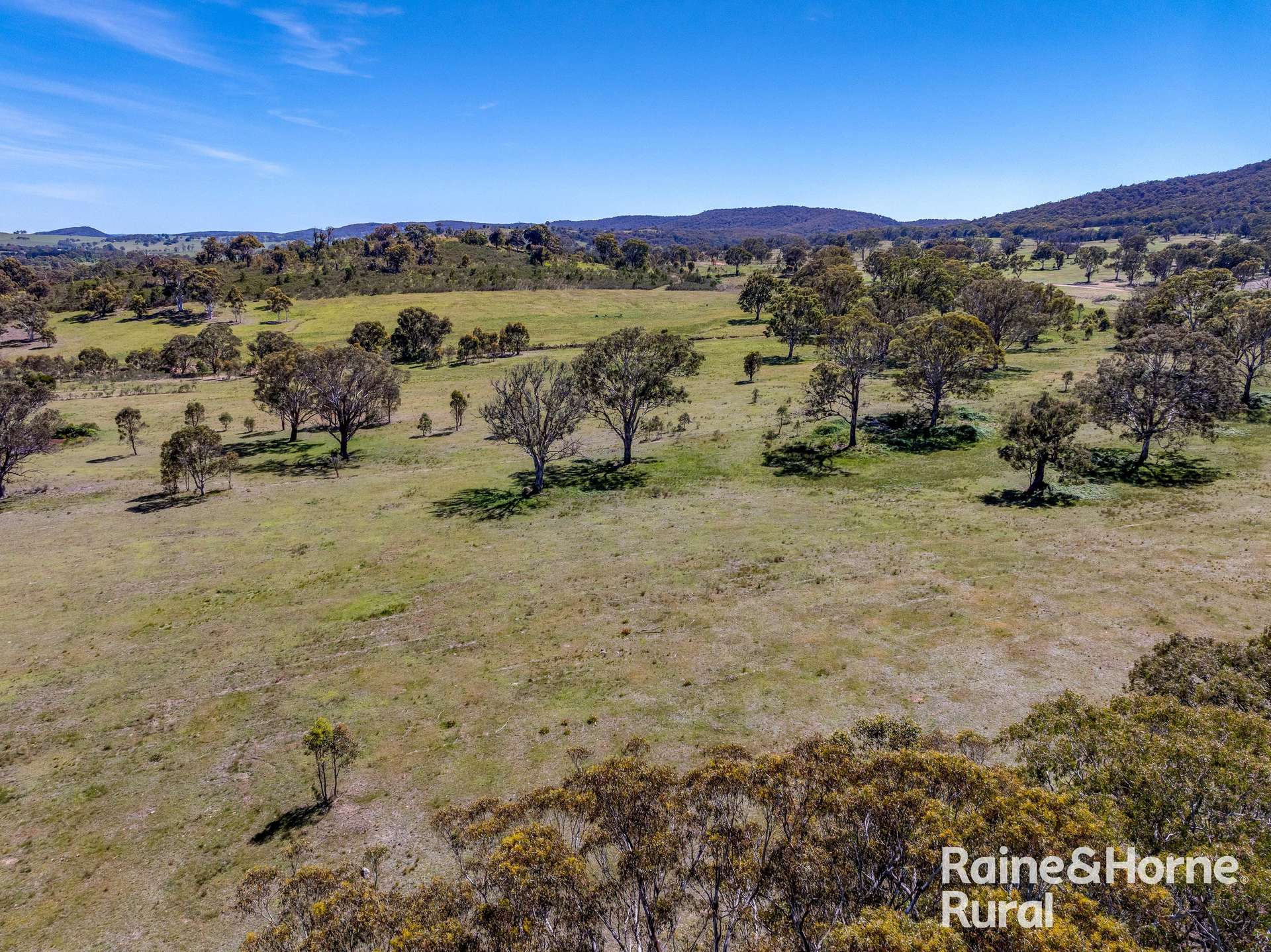 Lot 74 Of 278 Campbells Lane, Goulburn For Sale by Farmbuy.com - image 4