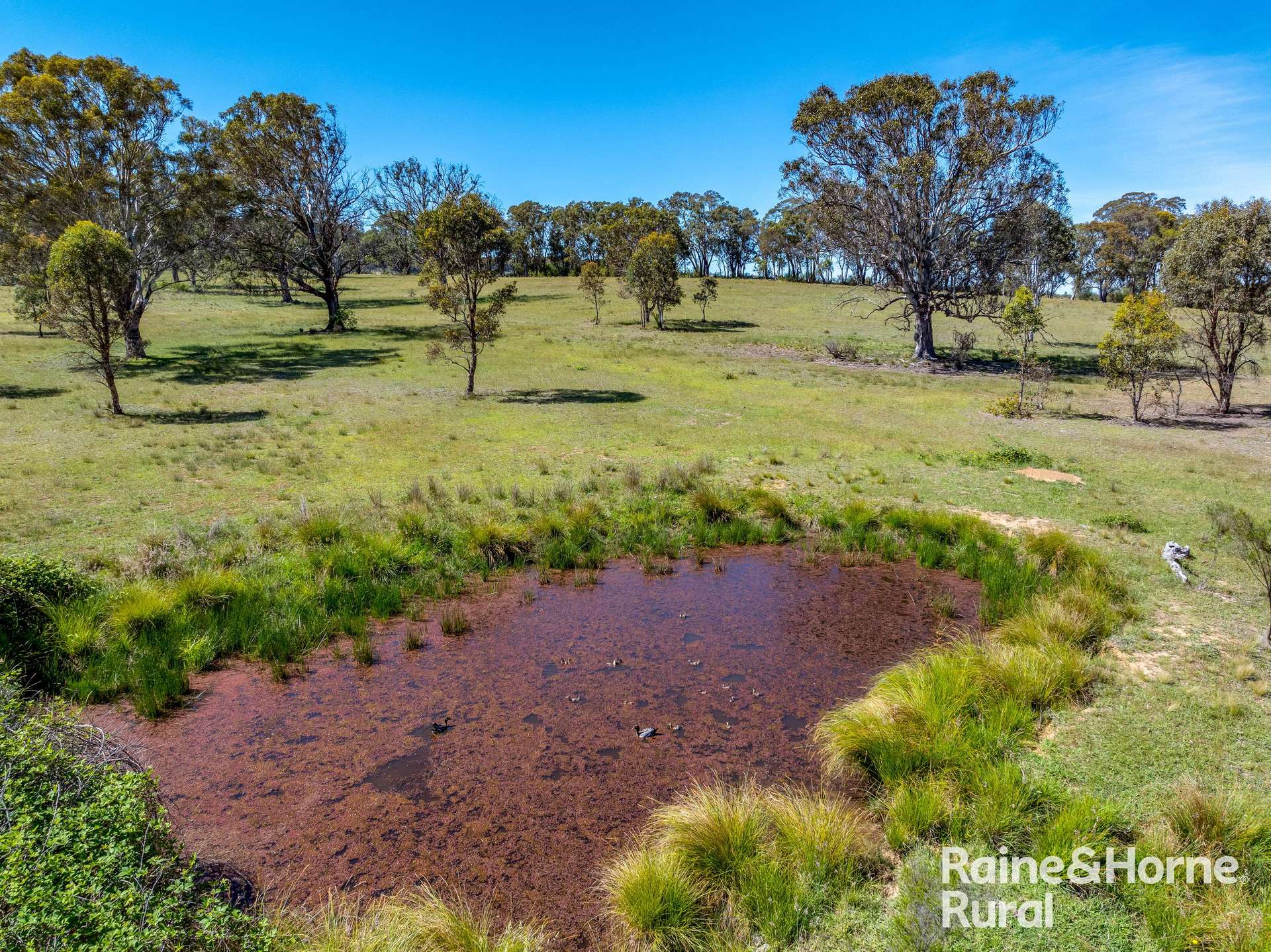 Lot 74 Of 278 Campbells Lane, Goulburn For Sale by Farmbuy.com - image 3
