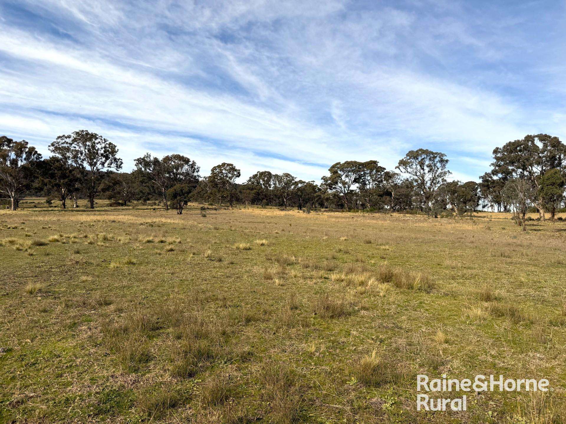 Lot 74 Of 278 Campbells Lane, Goulburn For Sale by Farmbuy.com - image 6