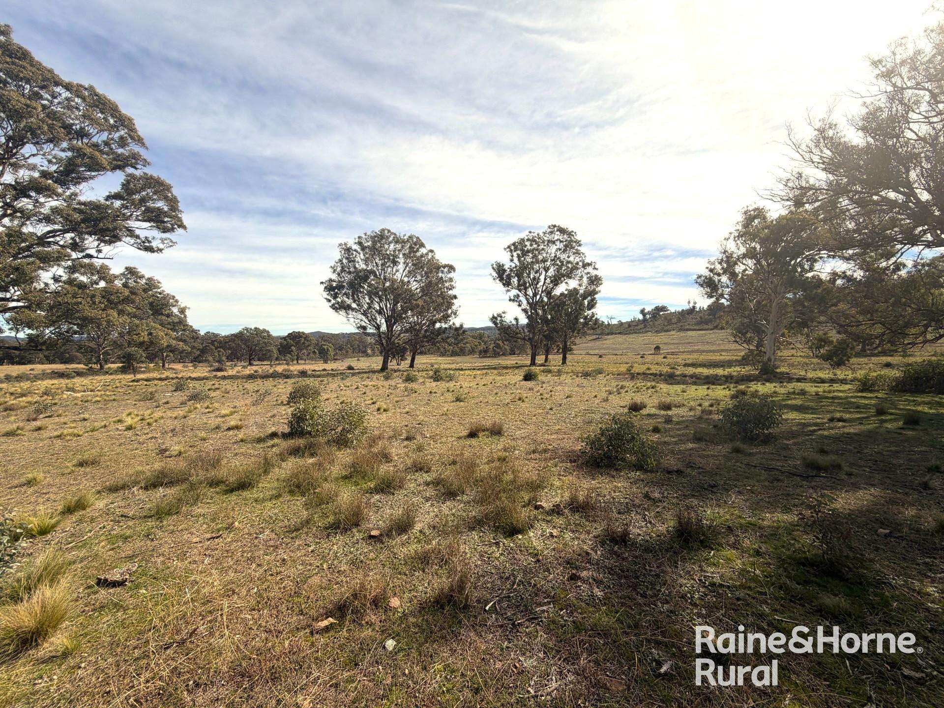 Lot 74 Of 278 Campbells Lane, Goulburn For Sale by Farmbuy.com - image 5