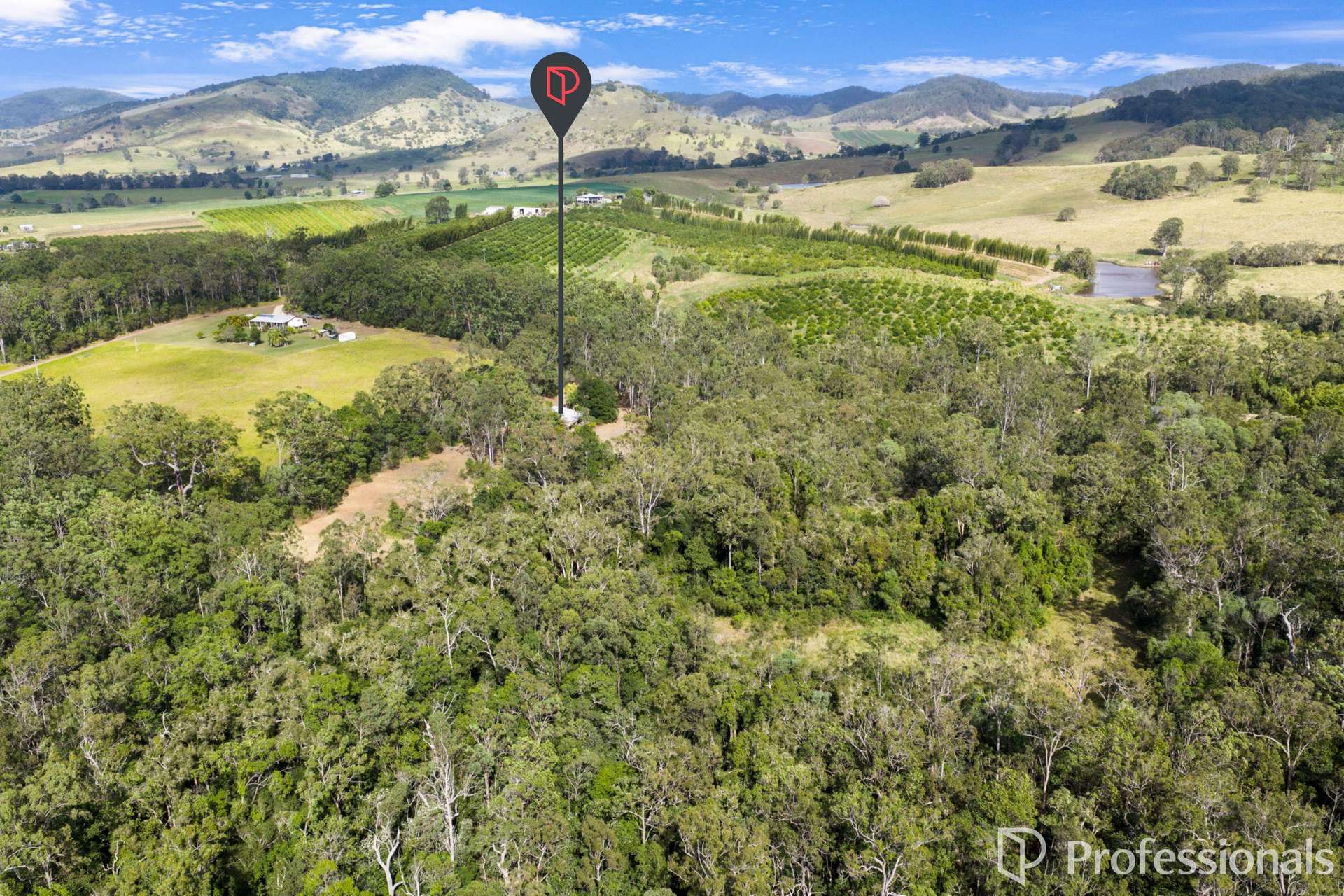 2503 Anderleigh Road, Kia Ora Auction by Farmbuy.com - image 23