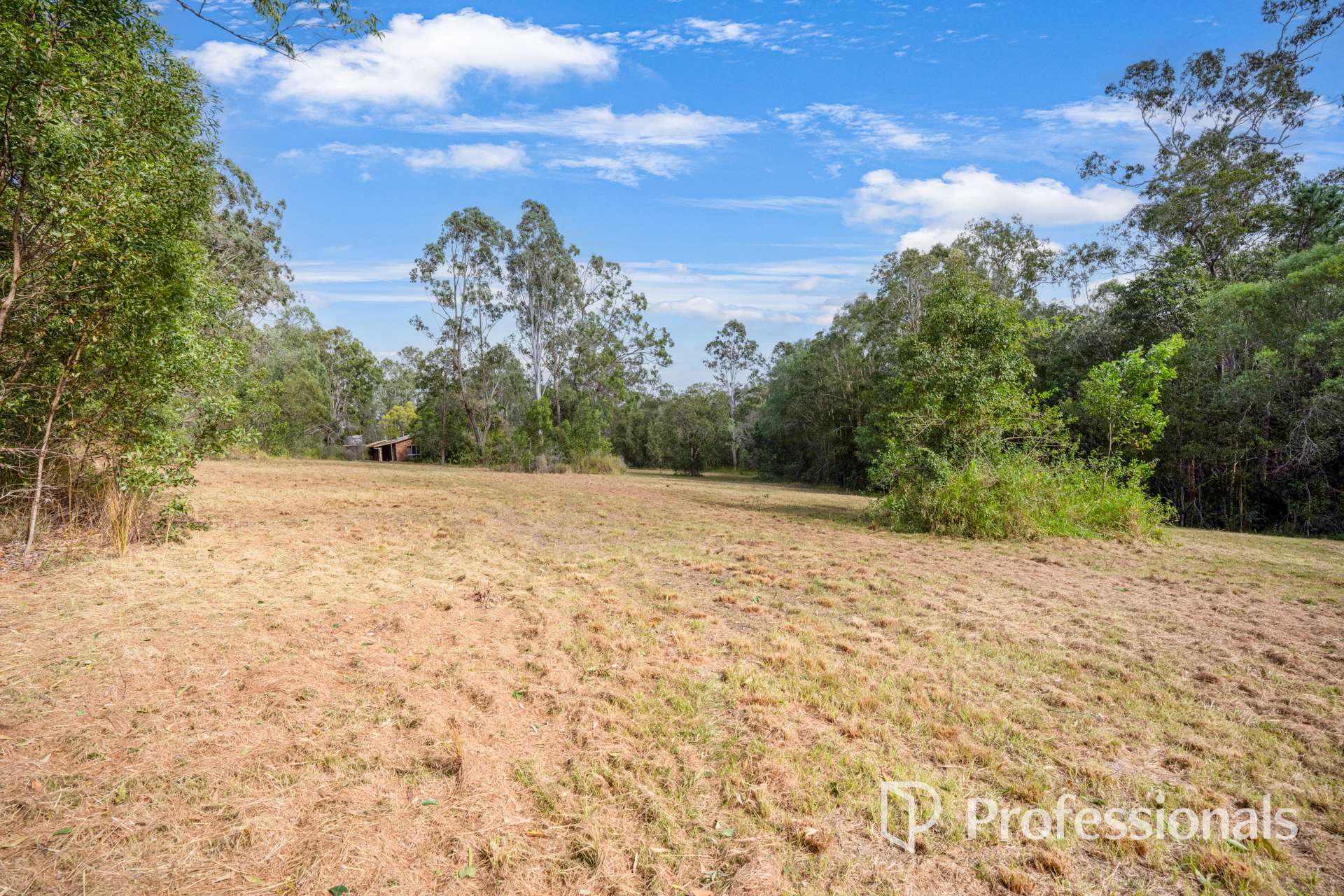 2503 Anderleigh Road, Kia Ora Auction by Farmbuy.com - image 18