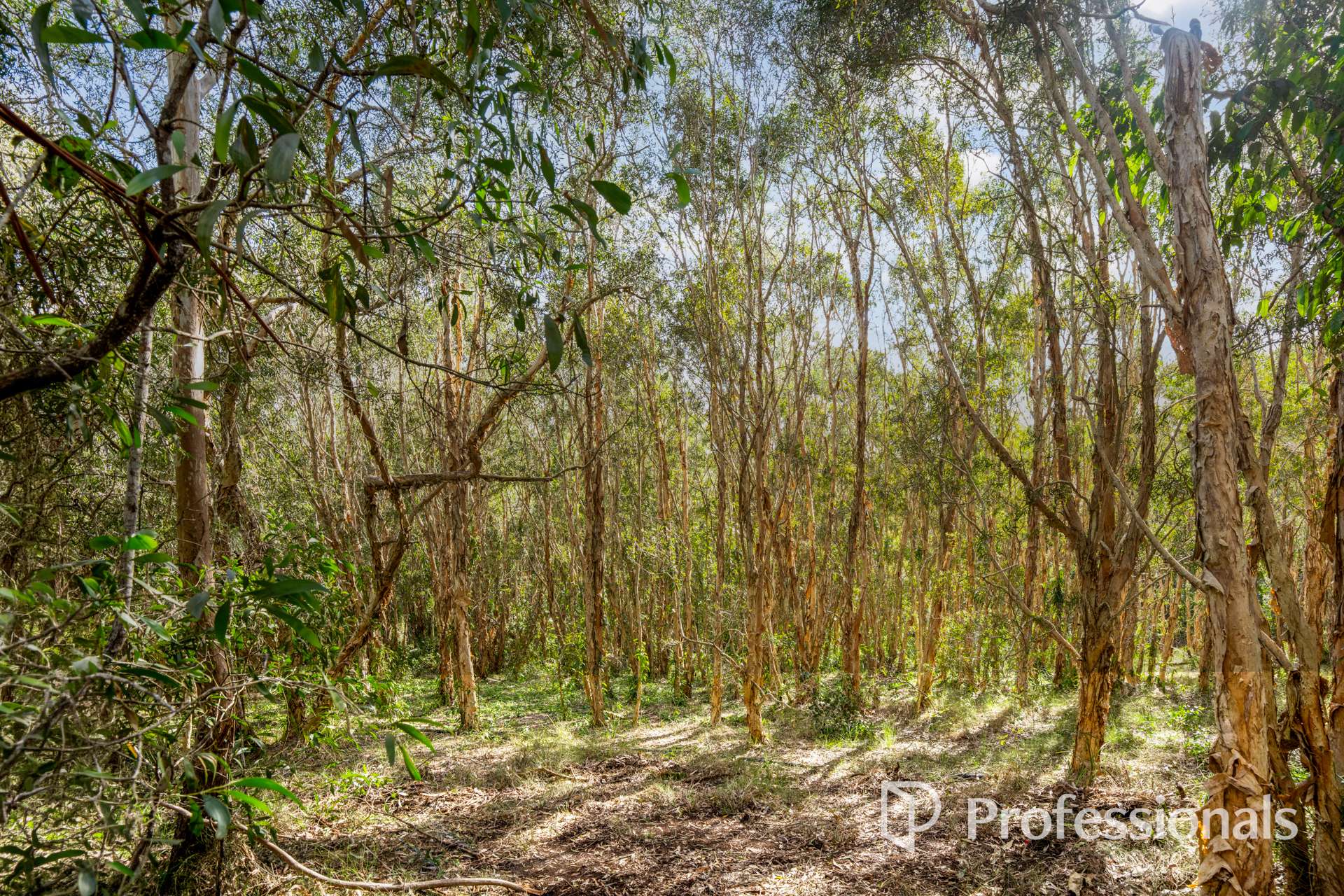 2503 Anderleigh Road, Kia Ora Auction by Farmbuy.com - image 19