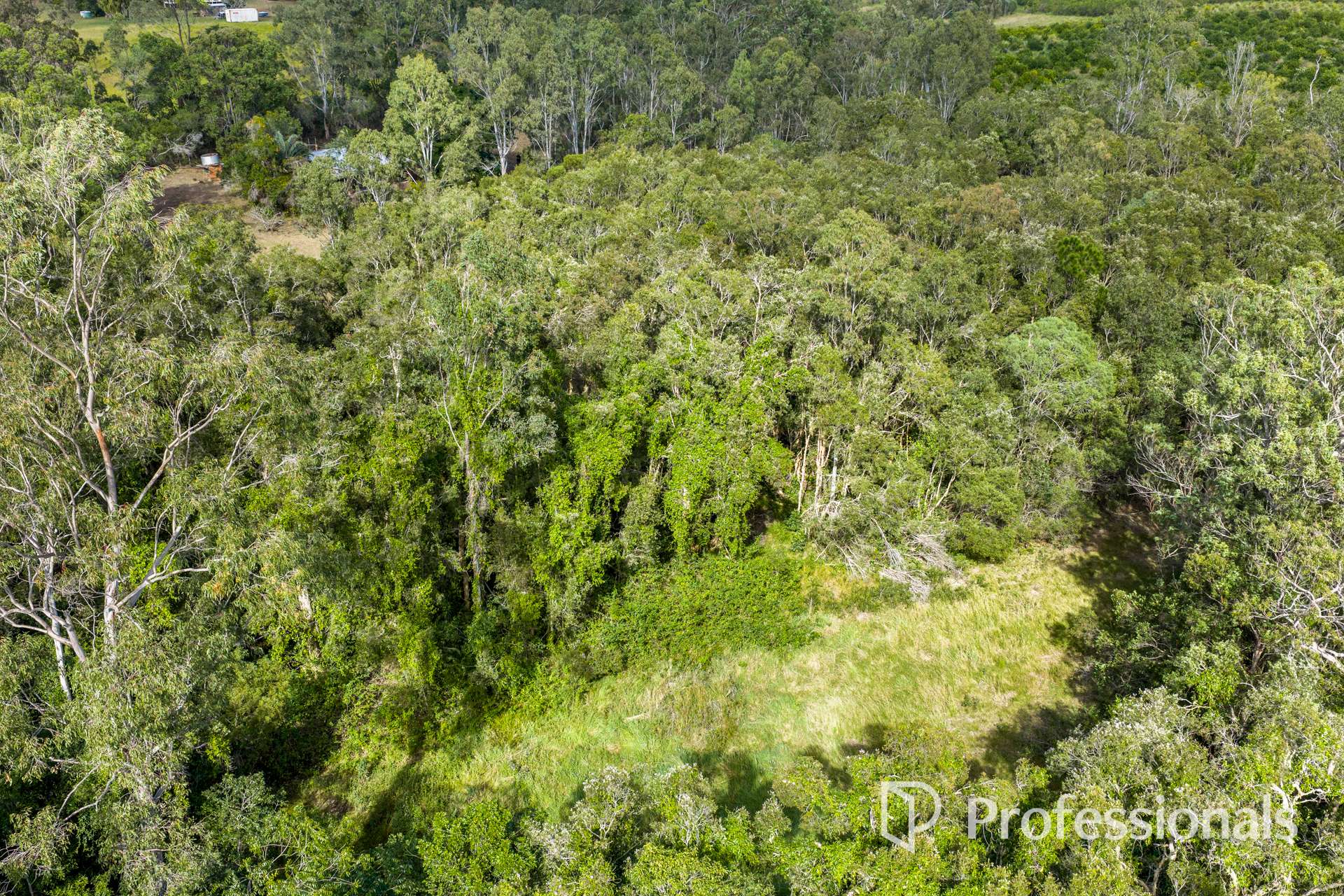 2503 Anderleigh Road, Kia Ora Auction by Farmbuy.com - image 22