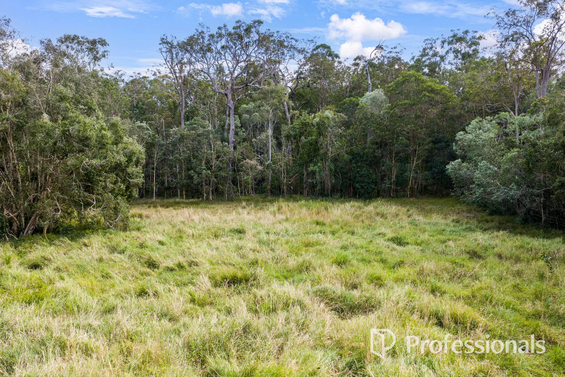 2503 Anderleigh Road, Kia Ora Auction by Farmbuy.com - image 25