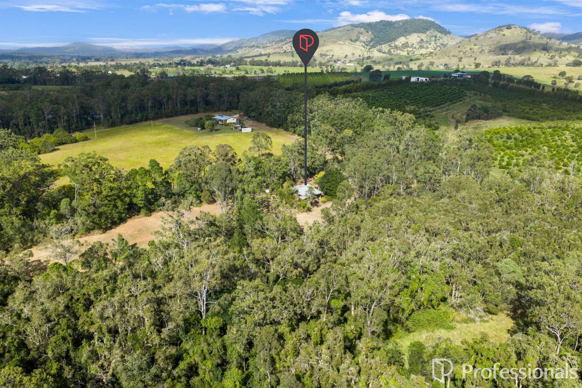 2503 Anderleigh Road, Kia Ora Auction by Farmbuy.com - image 21