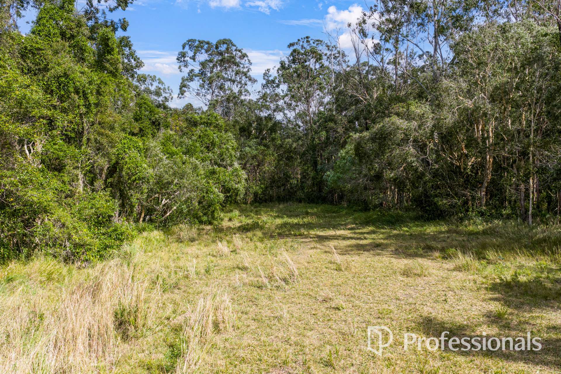 2503 Anderleigh Road, Kia Ora Auction by Farmbuy.com - image 26