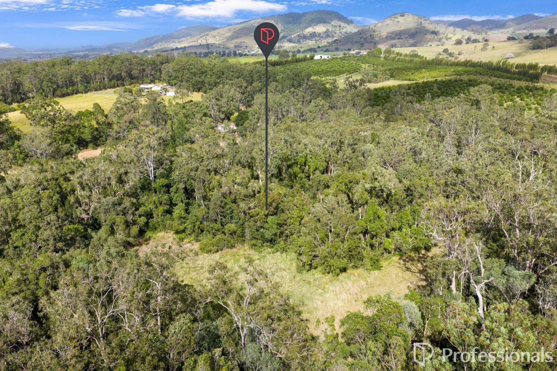 2503 Anderleigh Road, Kia Ora Auction by Farmbuy.com - image 24