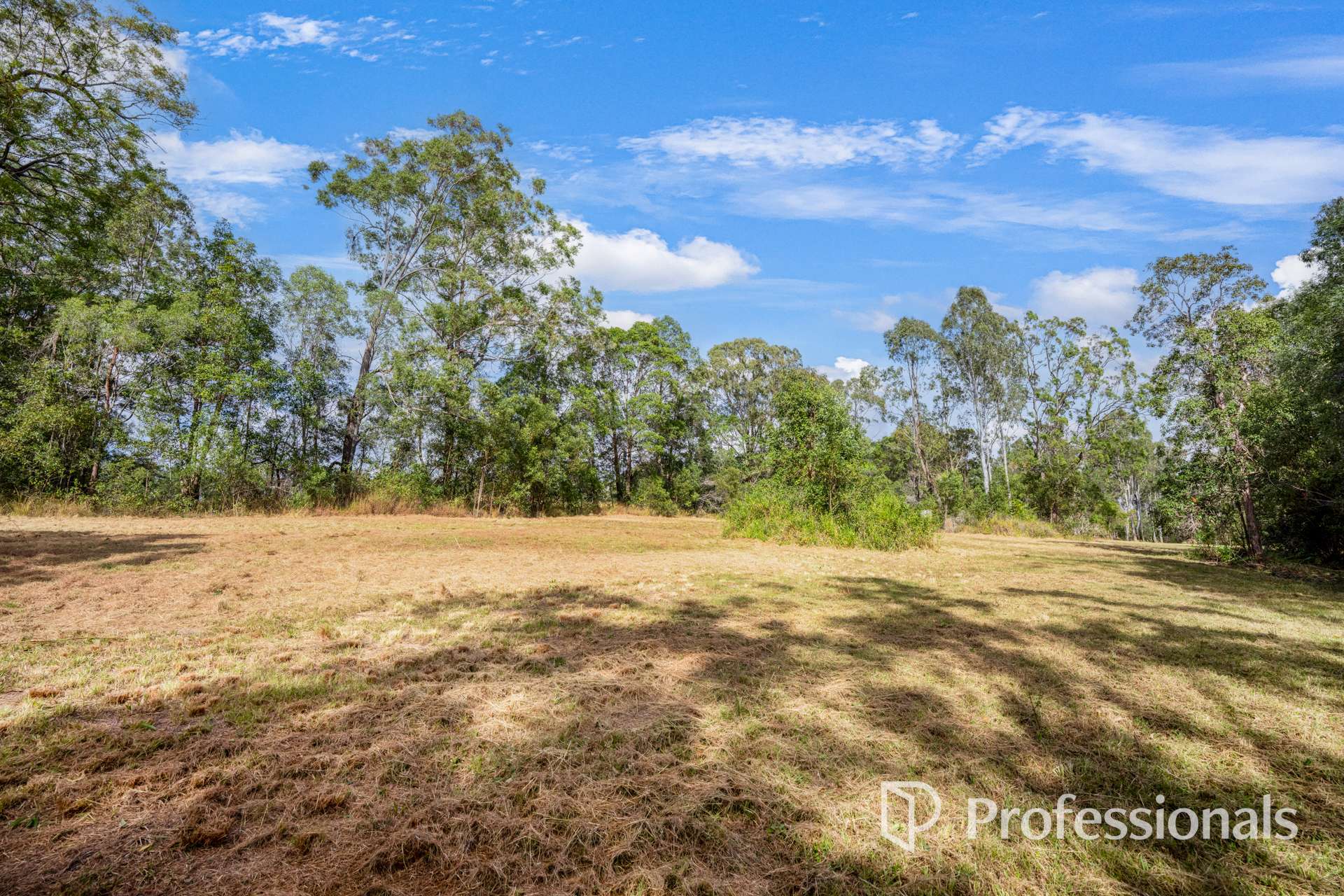 2503 Anderleigh Road, Kia Ora Auction by Farmbuy.com - image 6