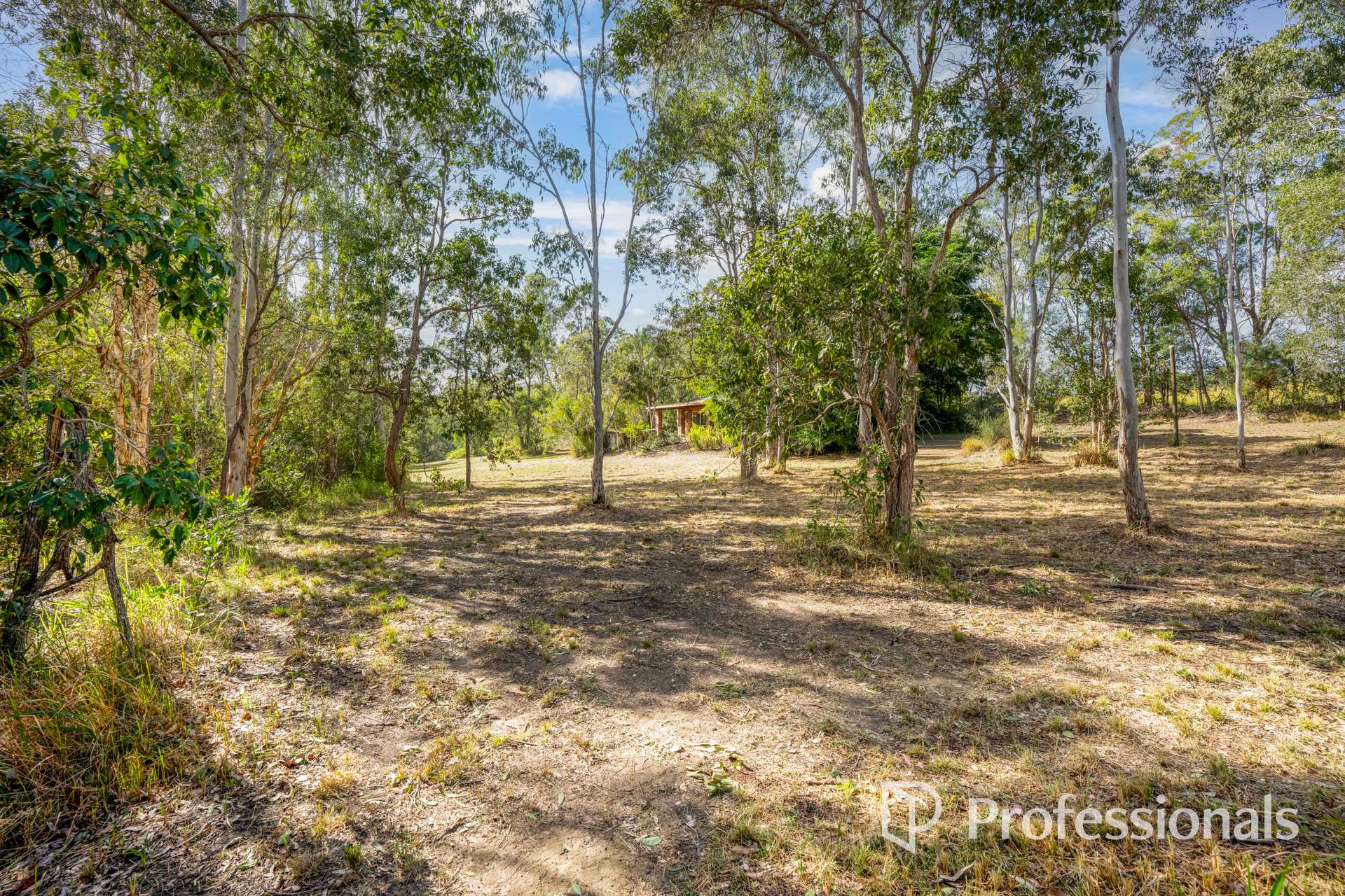 2503 Anderleigh Road, Kia Ora Auction by Farmbuy.com - image 5