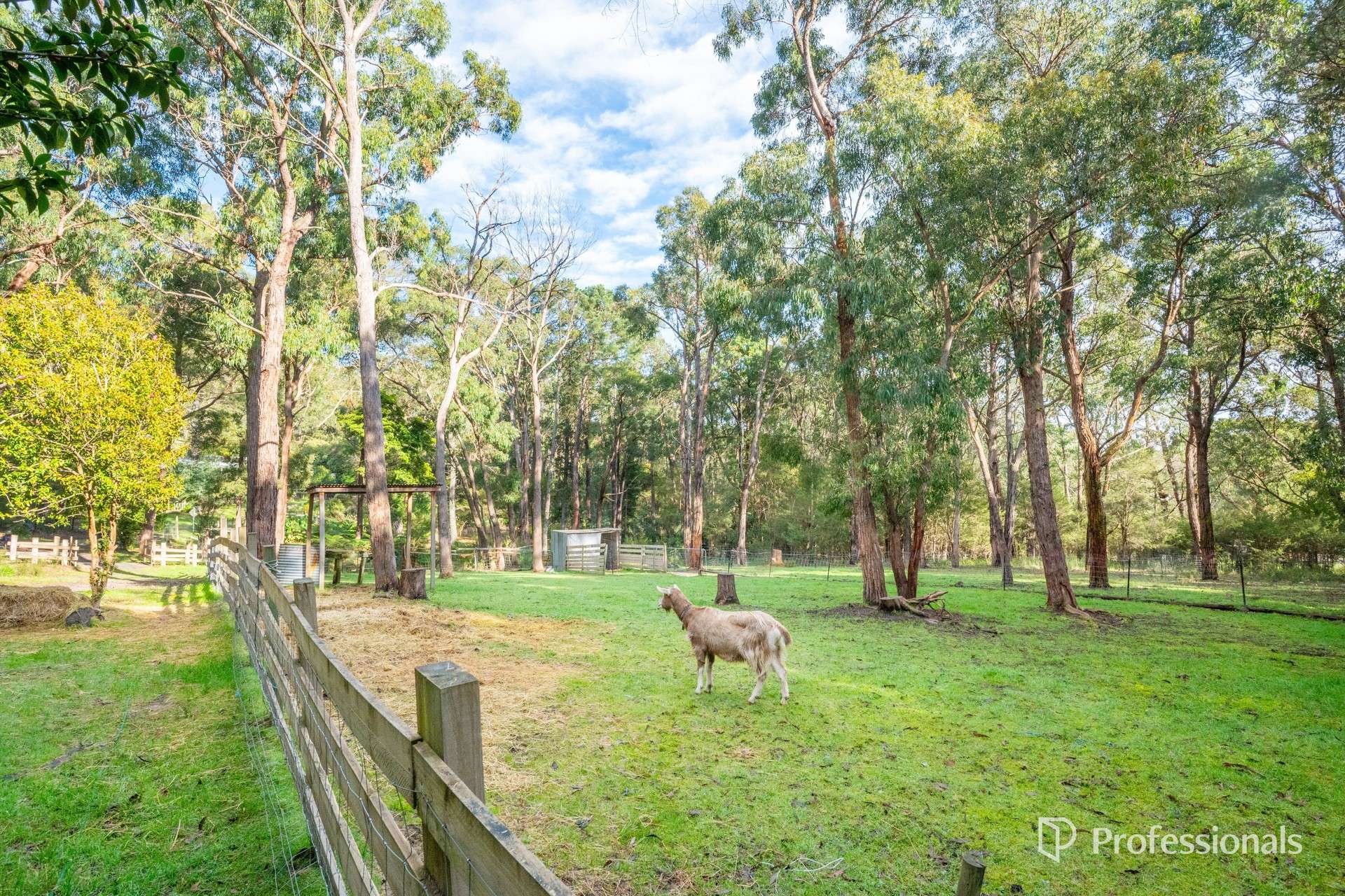 195 Glenview Road, Launching Place For Sale by Farmbuy.com - image 23