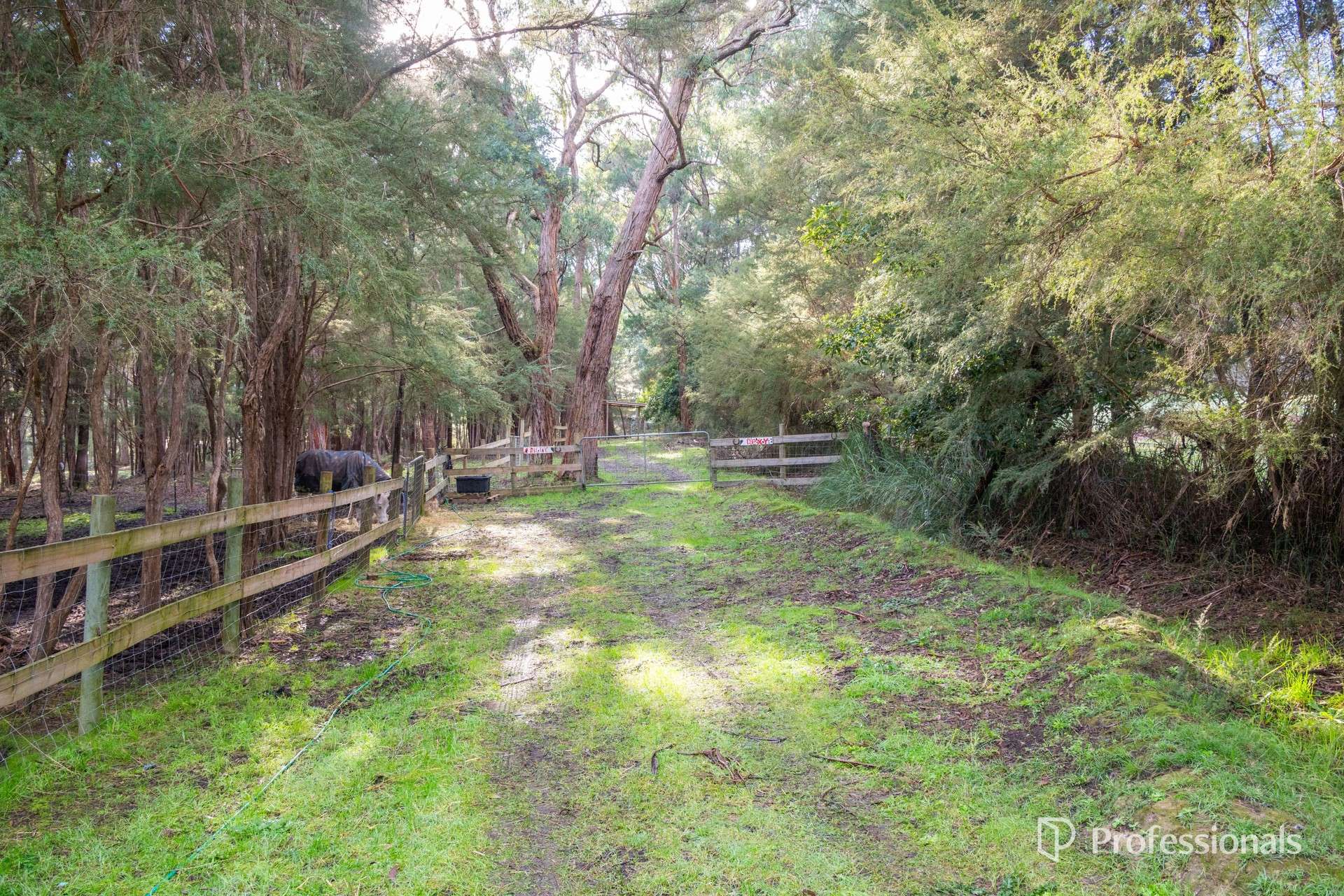 195 Glenview Road, Launching Place For Sale by Farmbuy.com - image 22