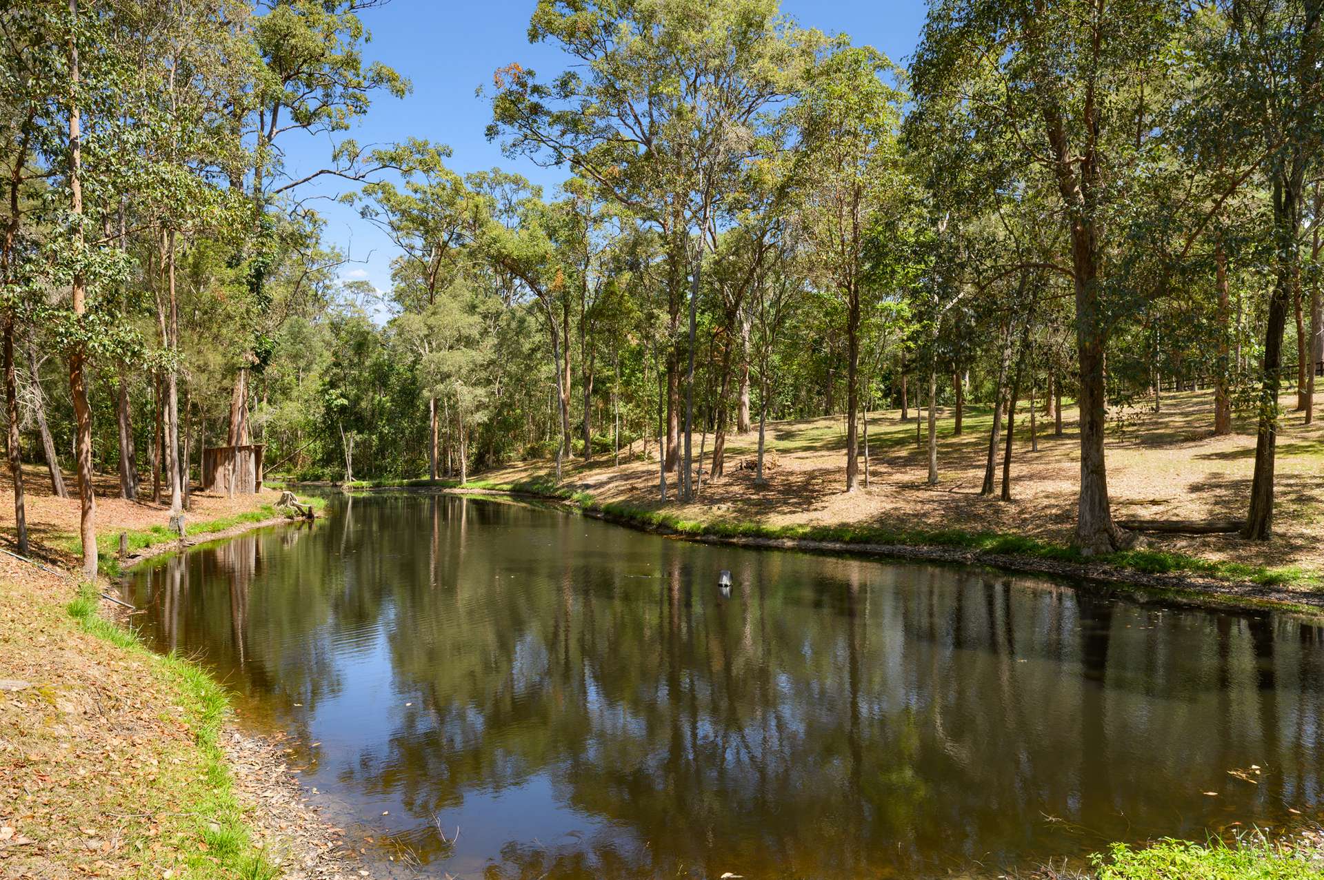 74 Bignells Road, Maudsland For Sale by Farmbuy.com - image 26