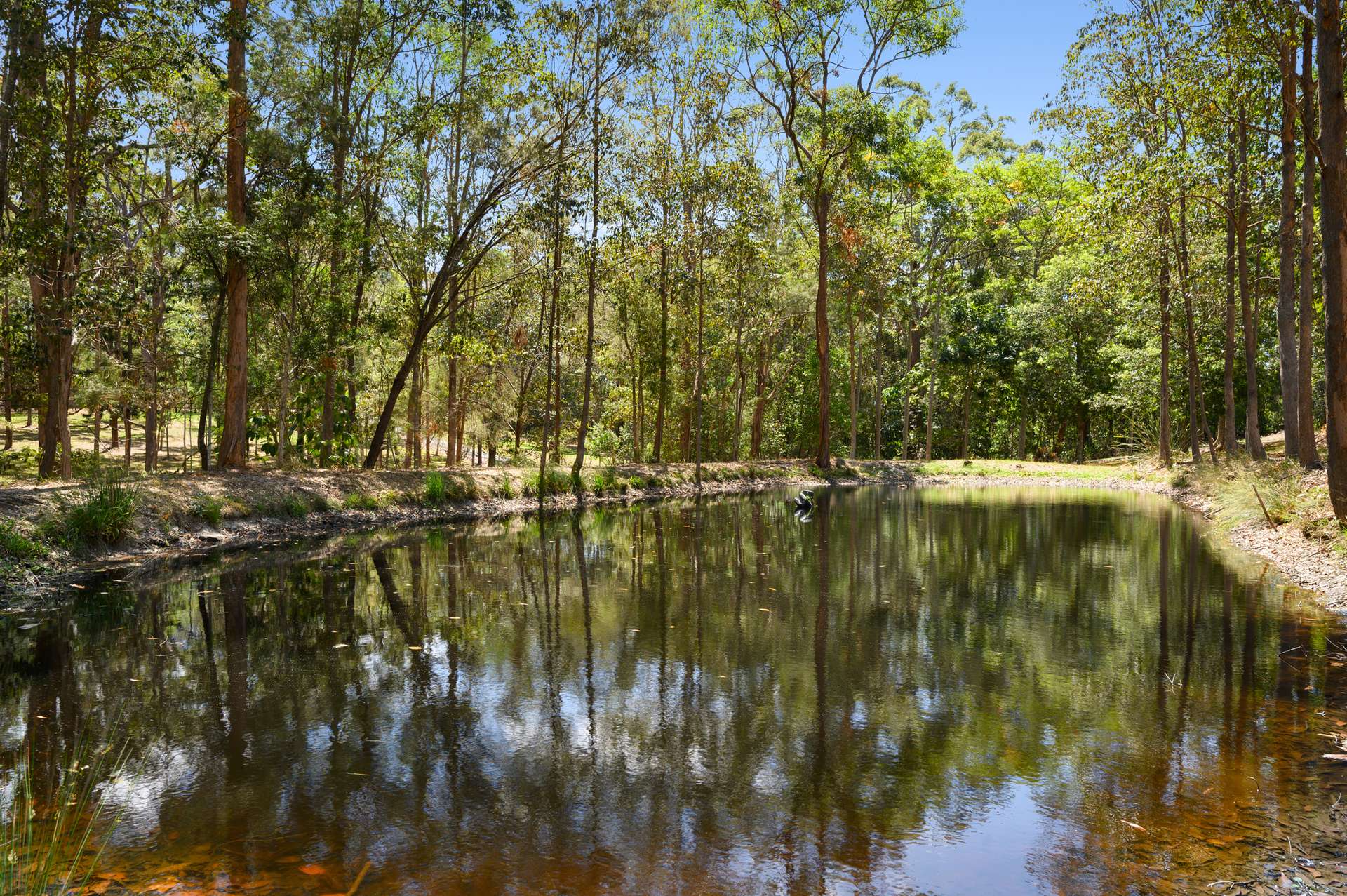 74 Bignells Road, Maudsland For Sale by Farmbuy.com - image 25