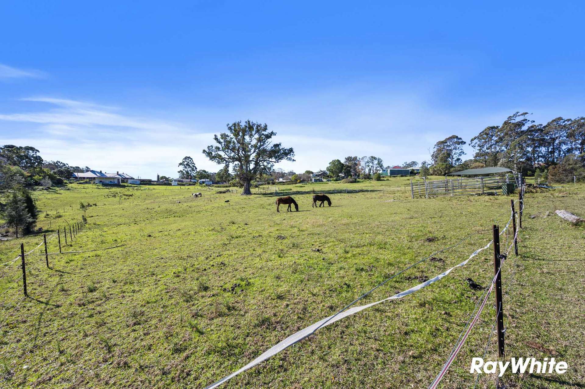 4 Wiltshire Lane, Bodalla For Sale by Farmbuy.com - image 18