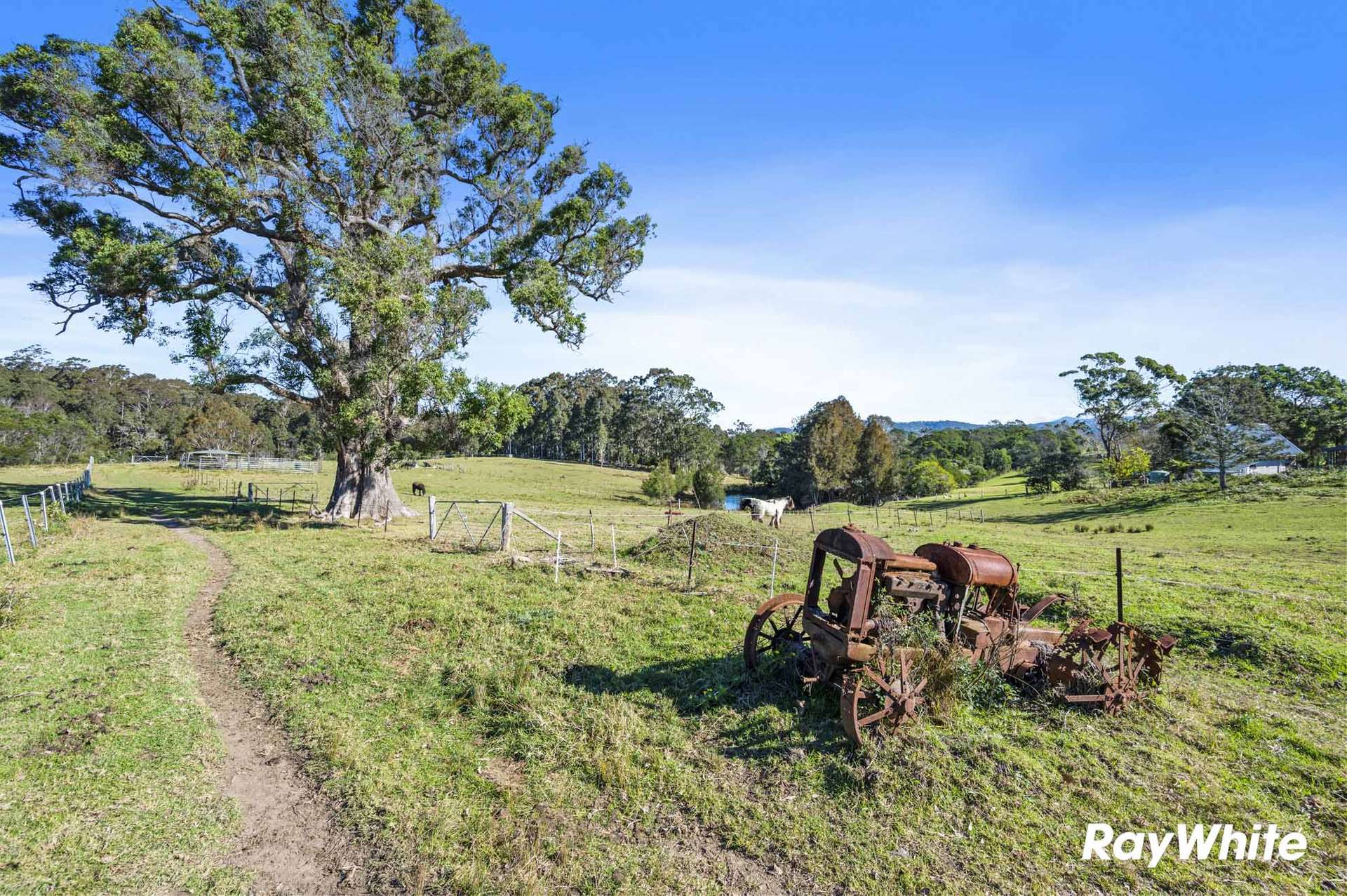4 Wiltshire Lane, Bodalla For Sale by Farmbuy.com - image 12